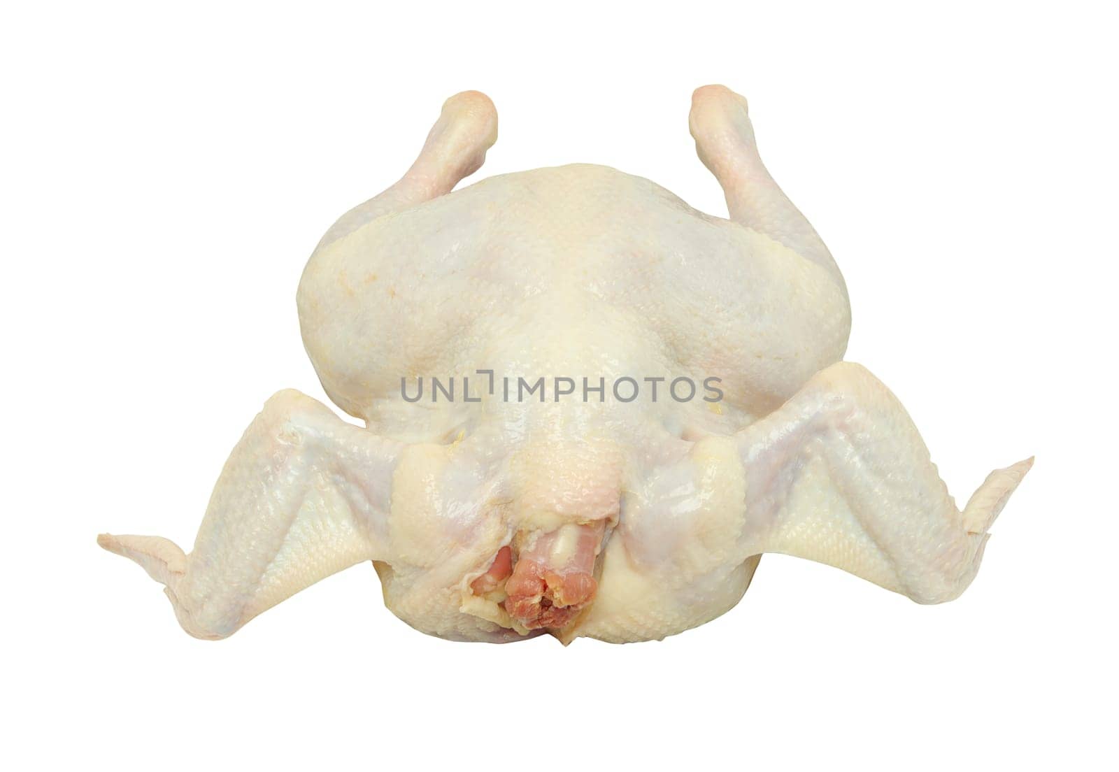 raw chicken isolated on white background