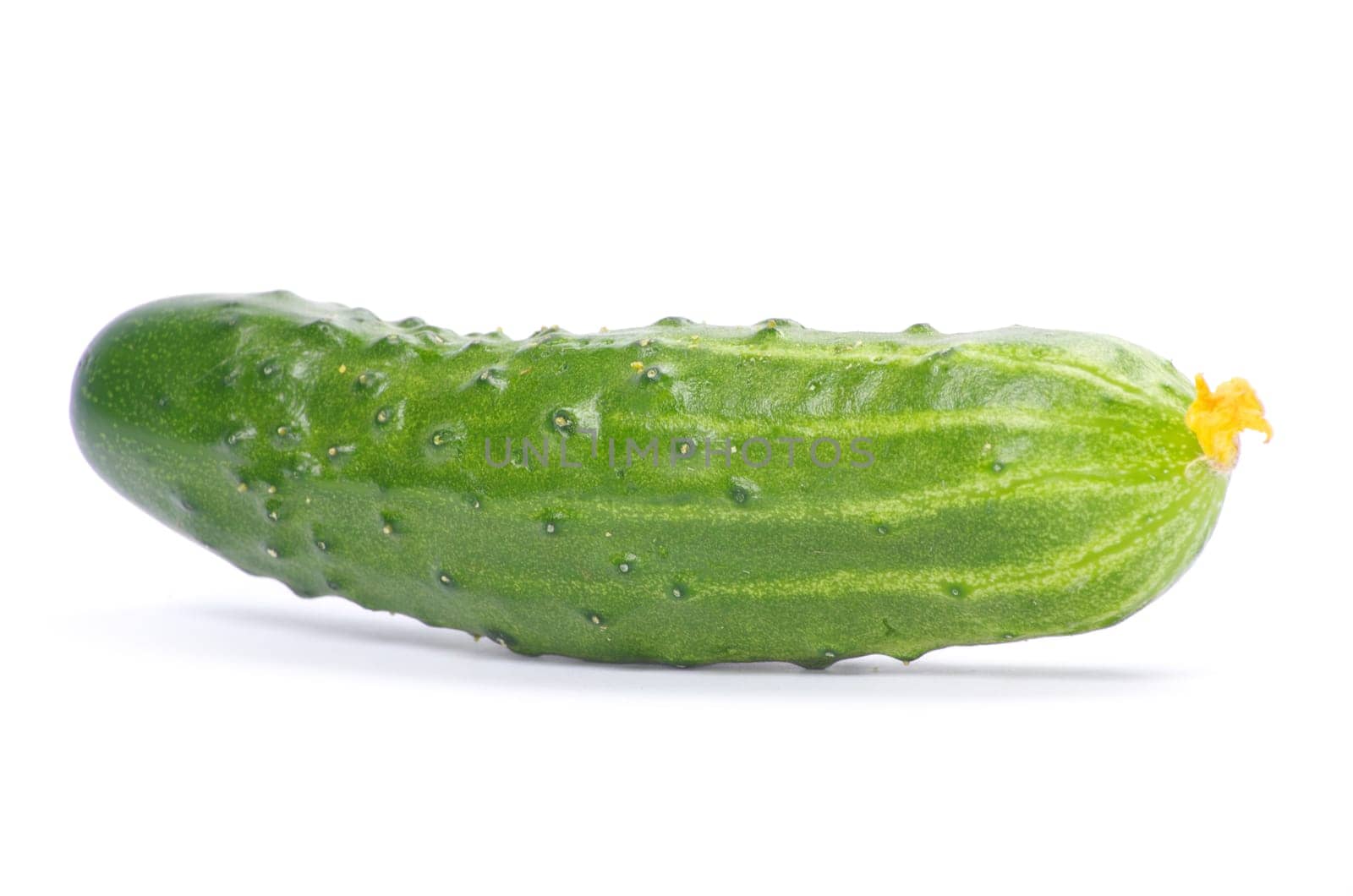 cucumbers on the white background