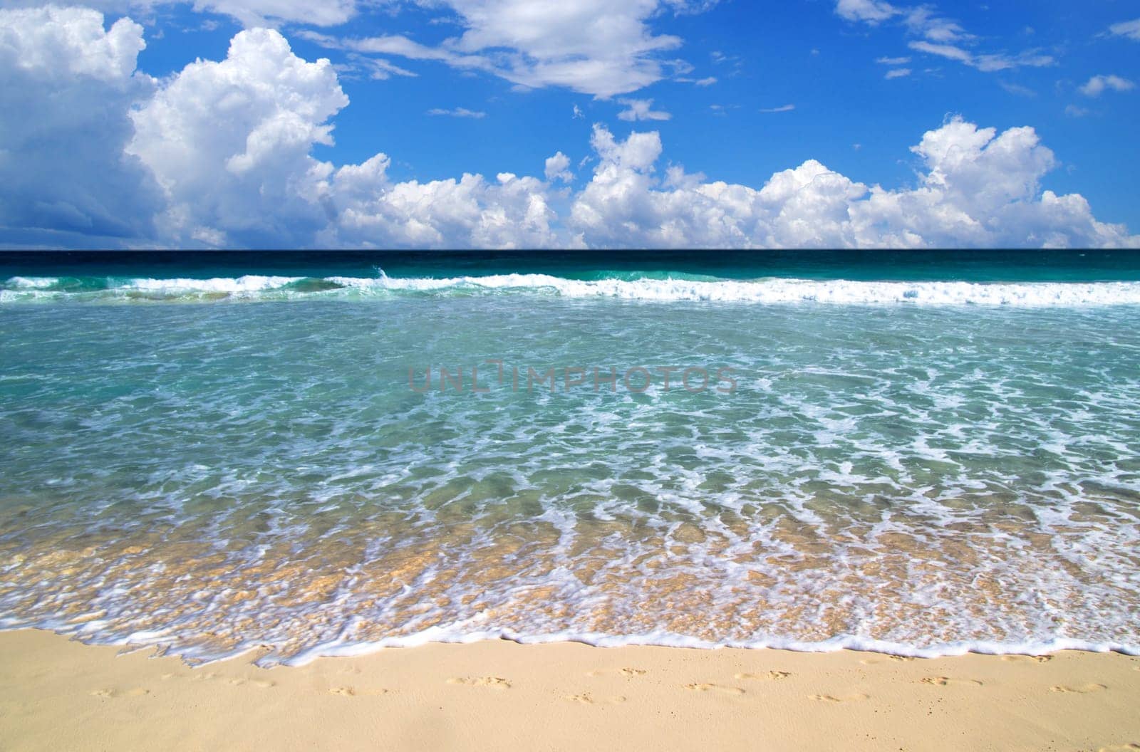 beautiful beach and tropical sea