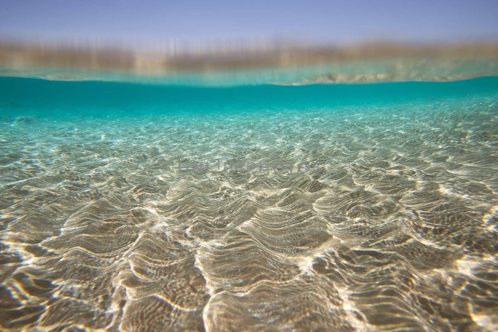 Tranquil underwater scene with copy space