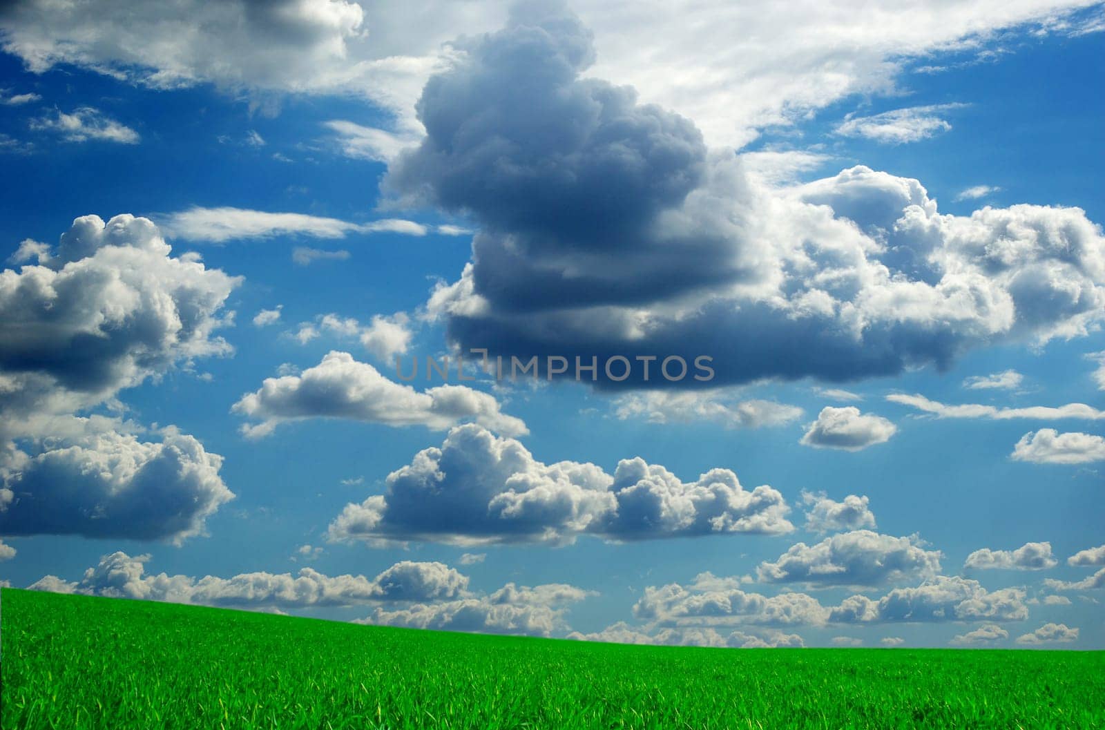 field on a background of the blue sky
