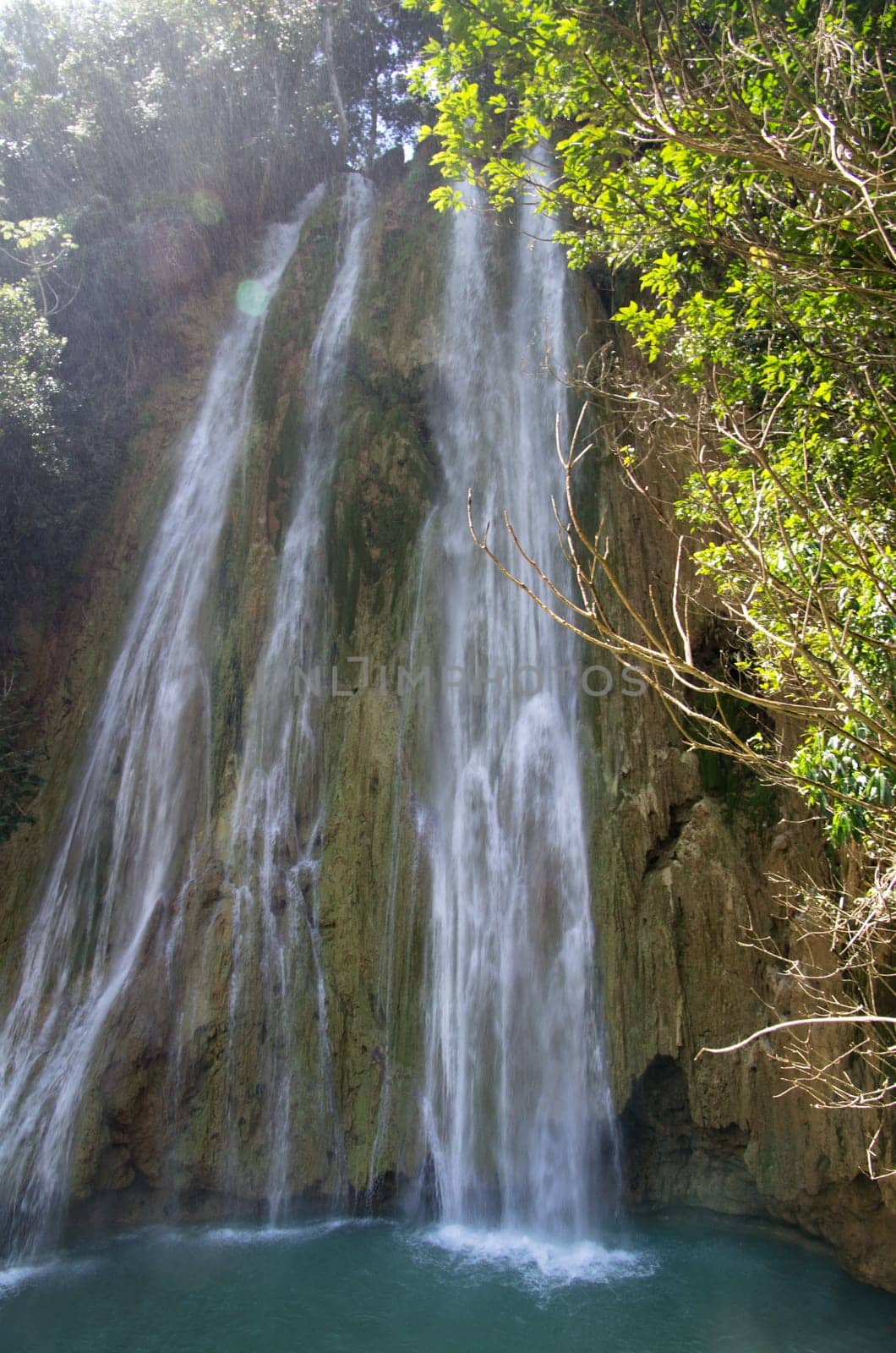 waterfall in deep green forest