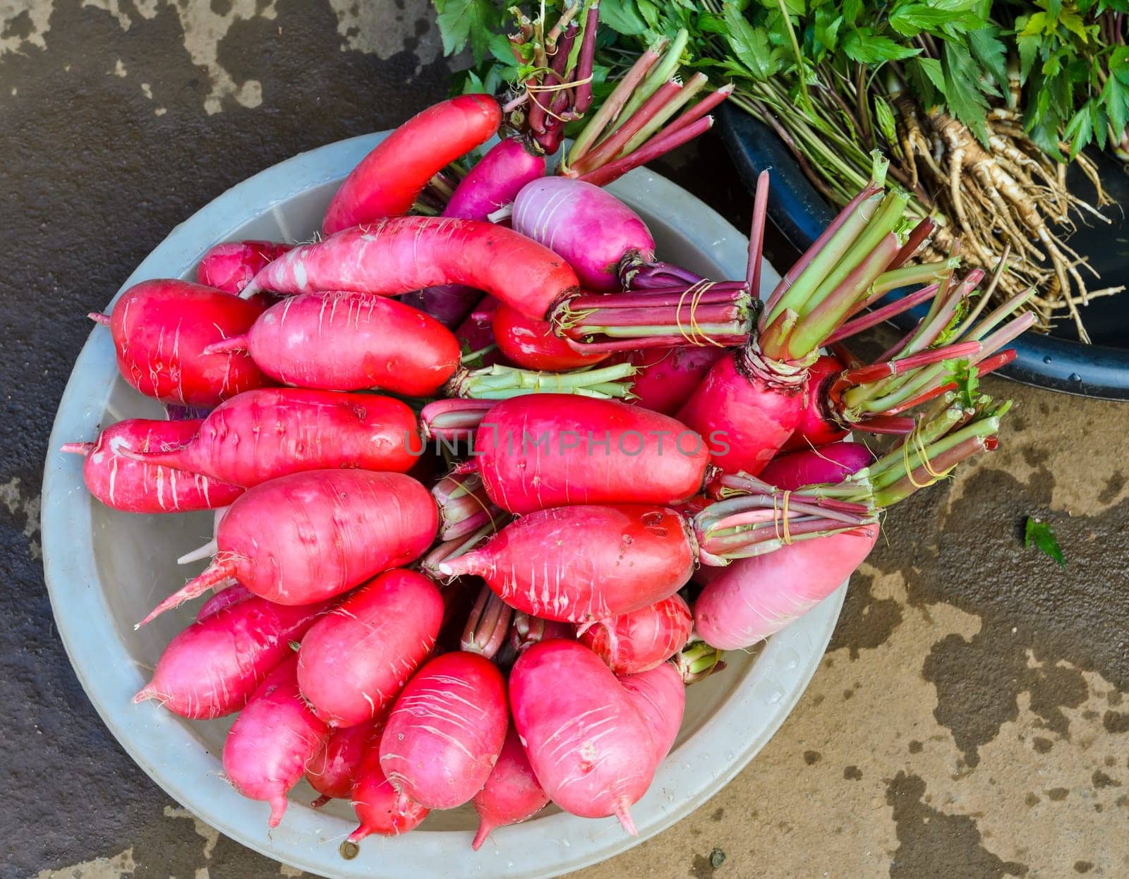 Radish in fresh market