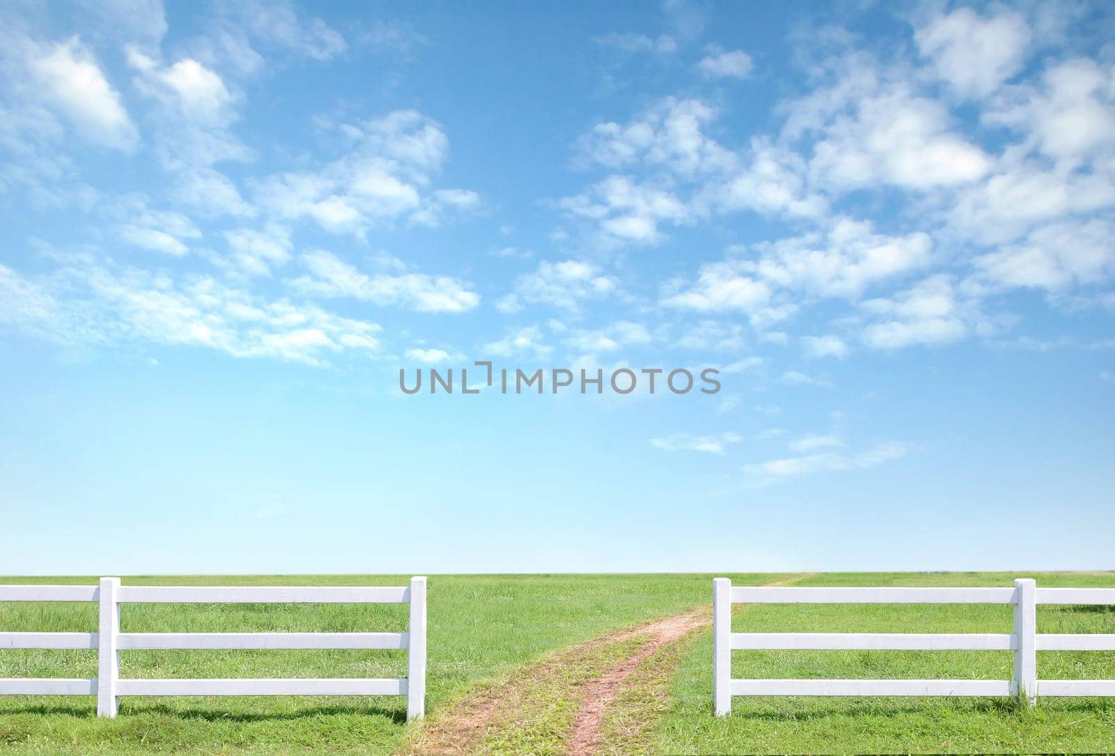 white fence on green grass with blue sky