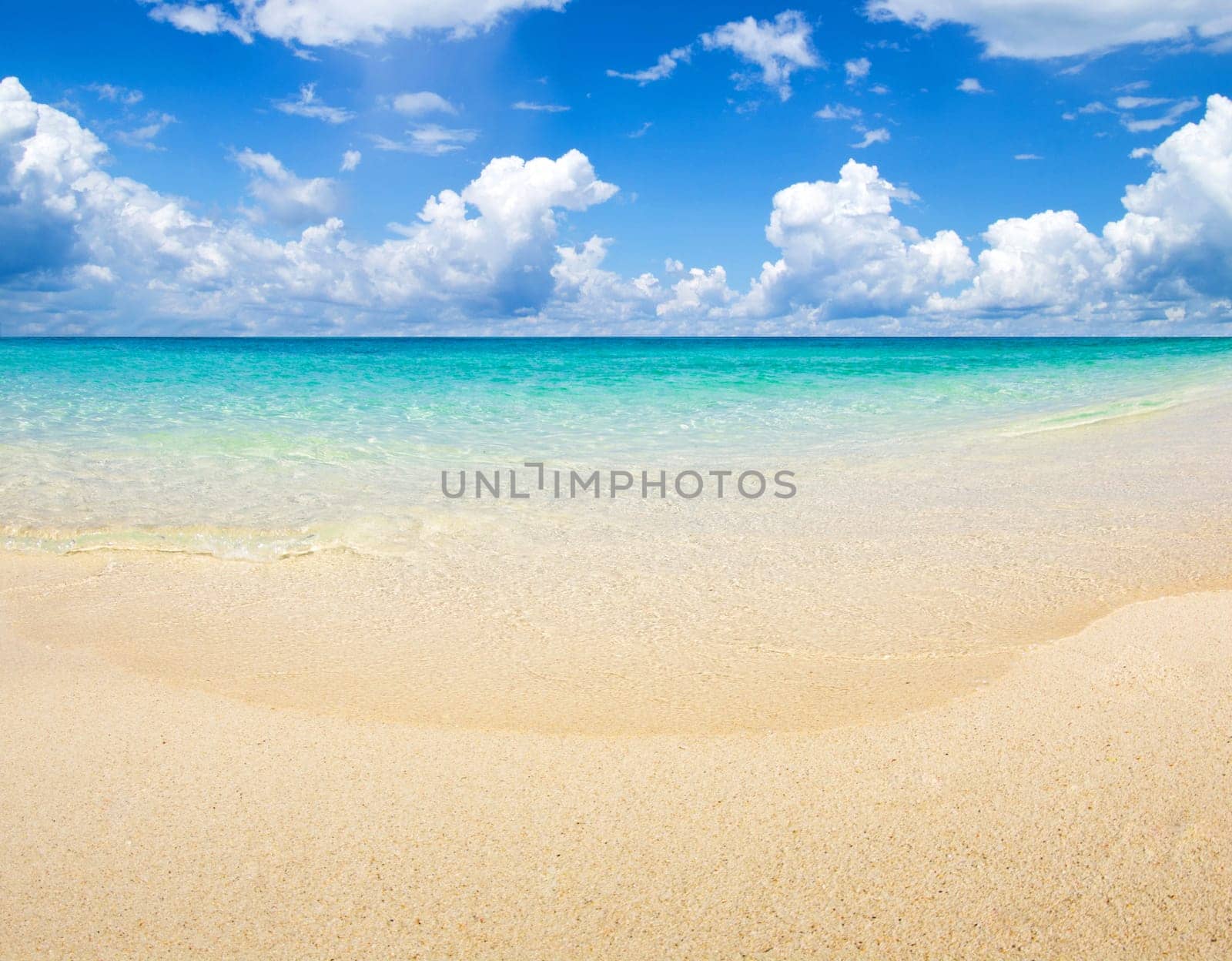 beautiful beach and tropical sea