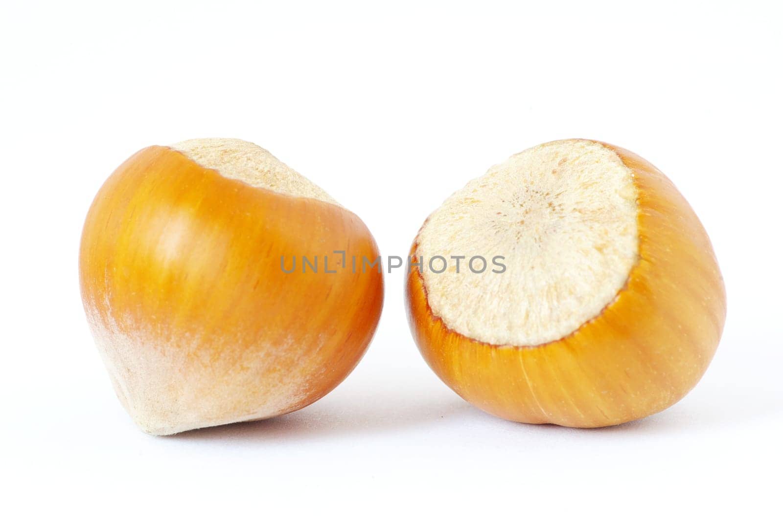 hazelnuts isolated on a white background