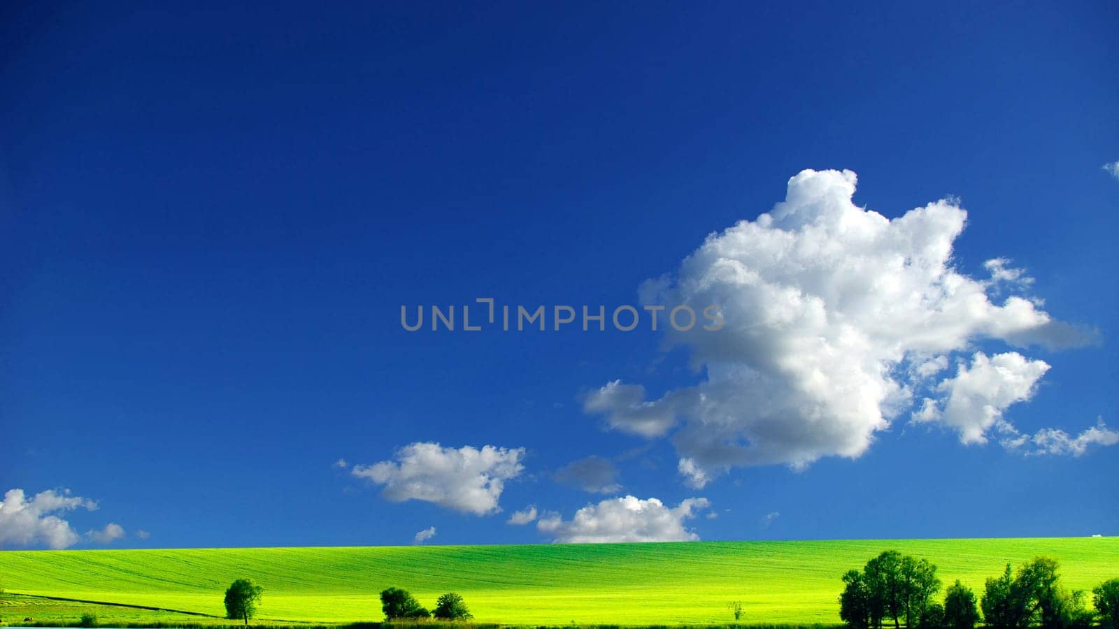 field on a background of the blue sky