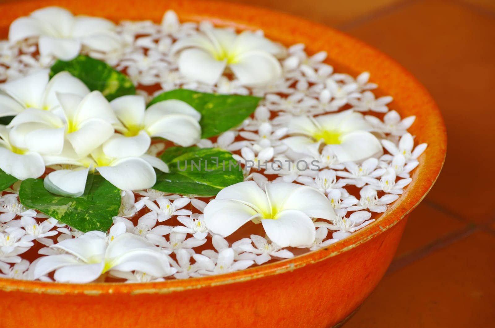 Beautiful flowers floating in water