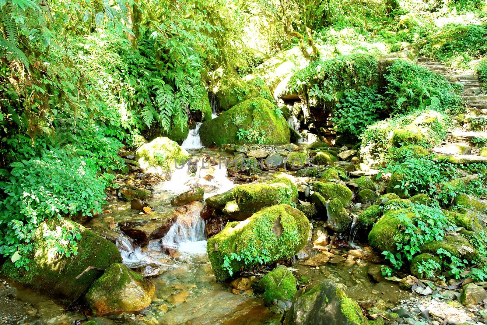 Water stream movement on the stone background, Nepal Himalayan forest .
