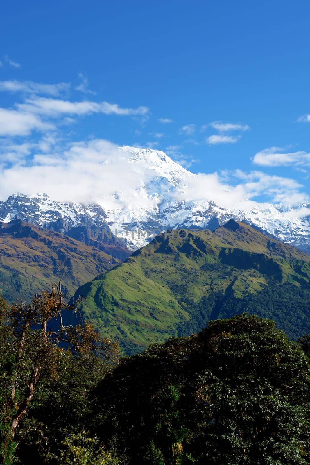 View of "Fish Tail"" mountain, trek to base camp Annapurna conservation area, Nepal"