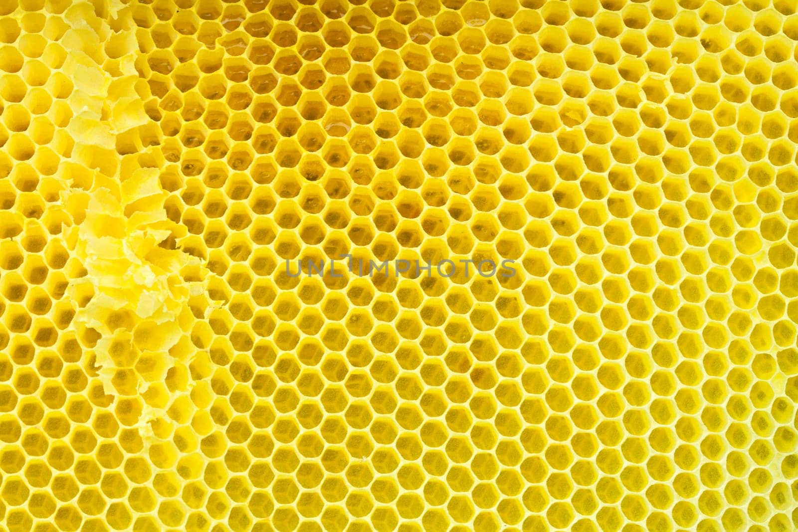 Honeycomb - cloe up texture