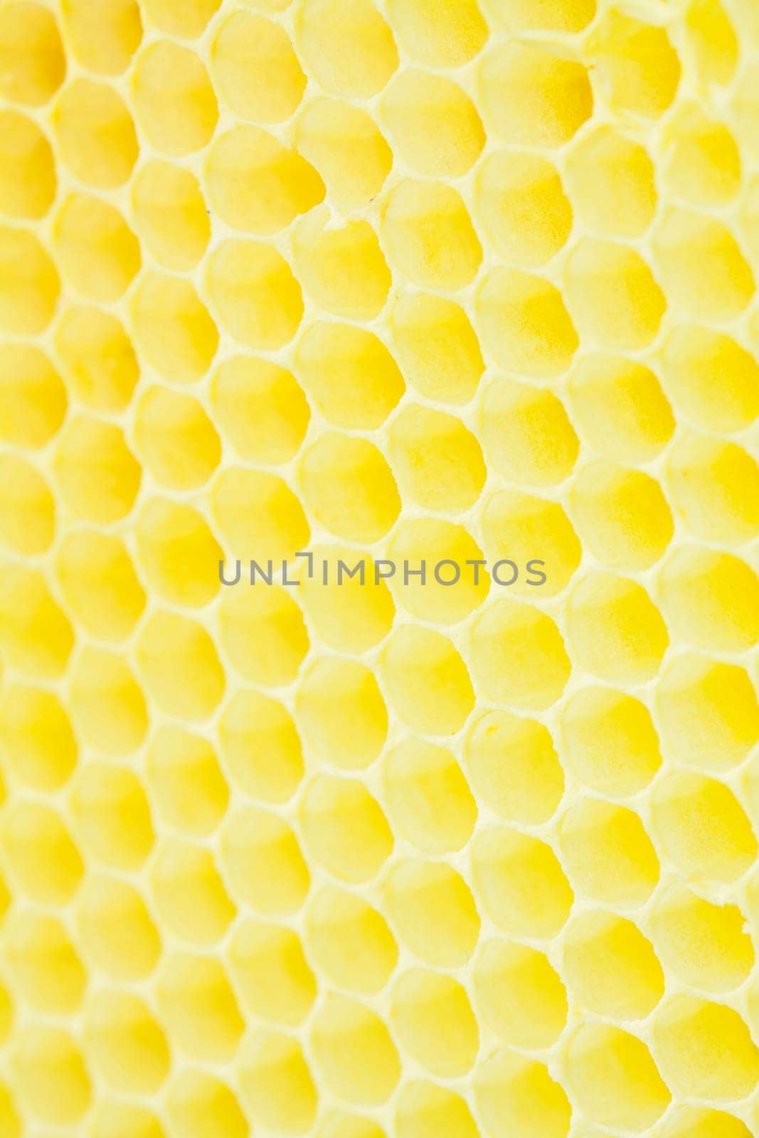 Honeycomb - cloe up texture