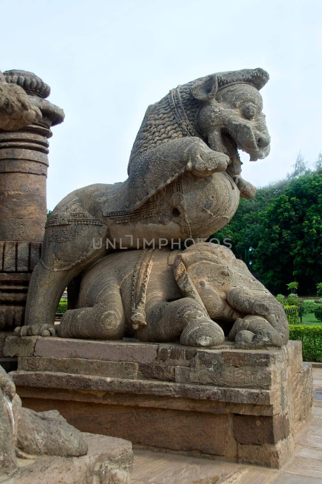 Rock-cut statue of lion riding over elephant at Sun Temple, Konark, Orissa, India, Asia