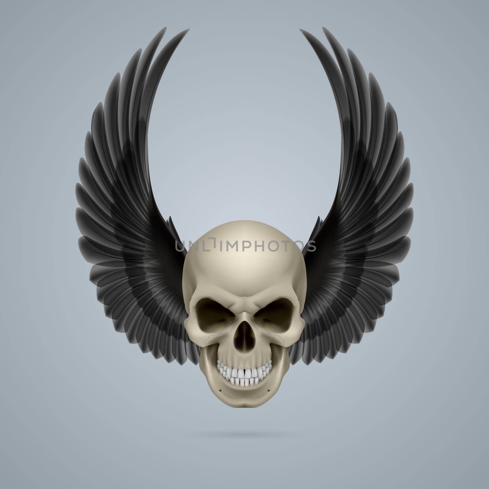 Evil looking ivory skull with two crow wings up.