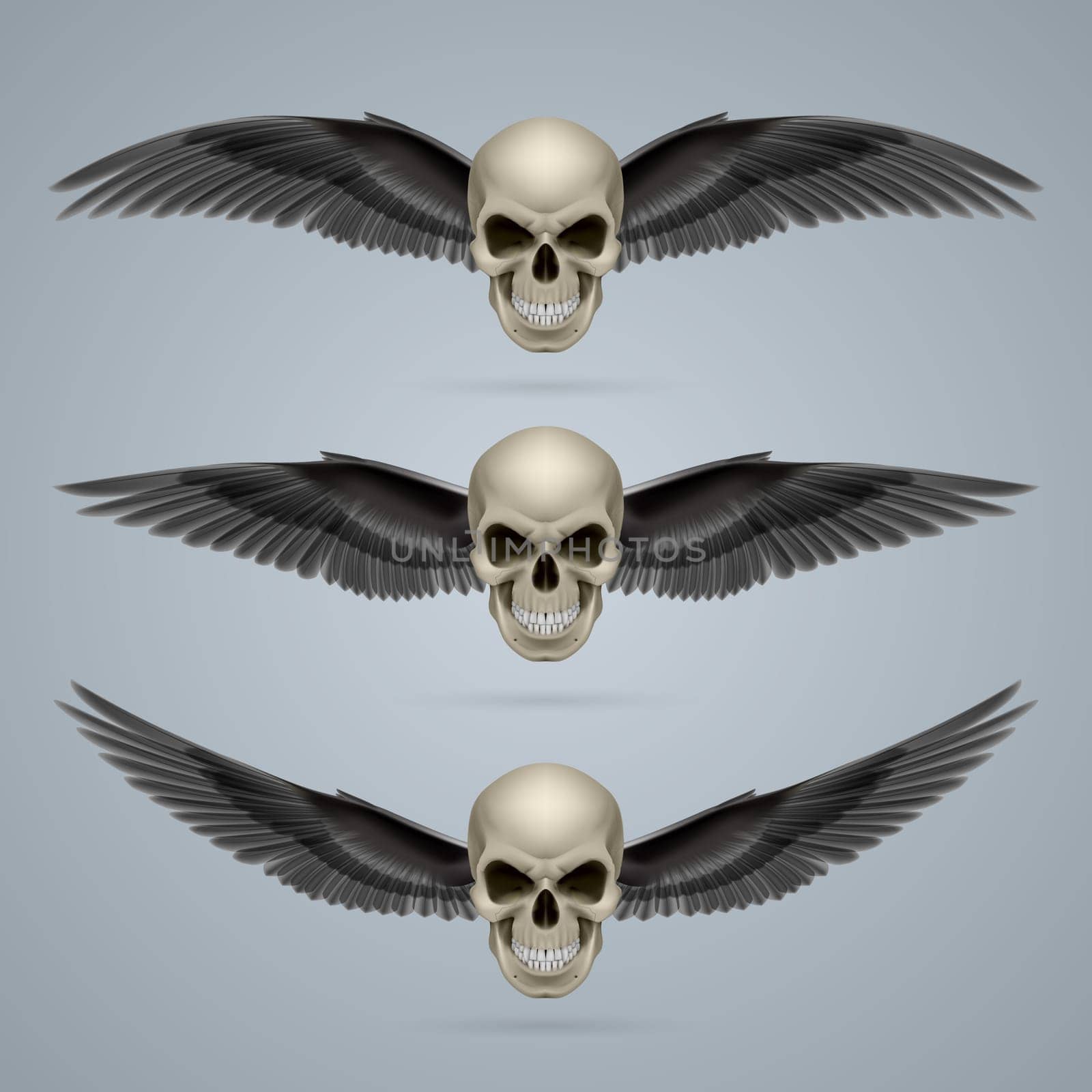 Three evil looking ivory coloured two-winged skulls.