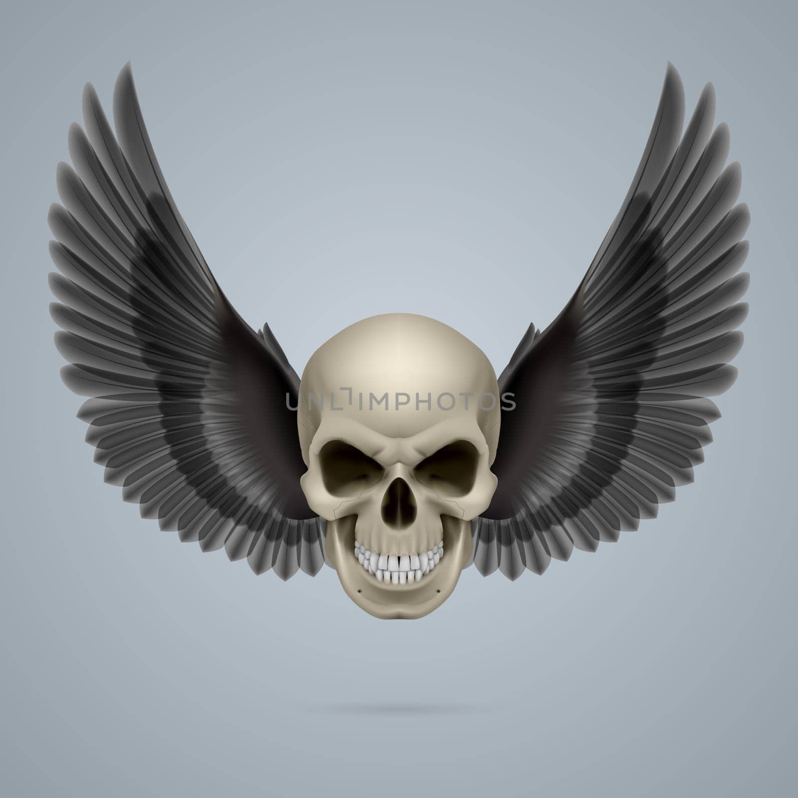 Evil looking ivory coloured skull with two wings.