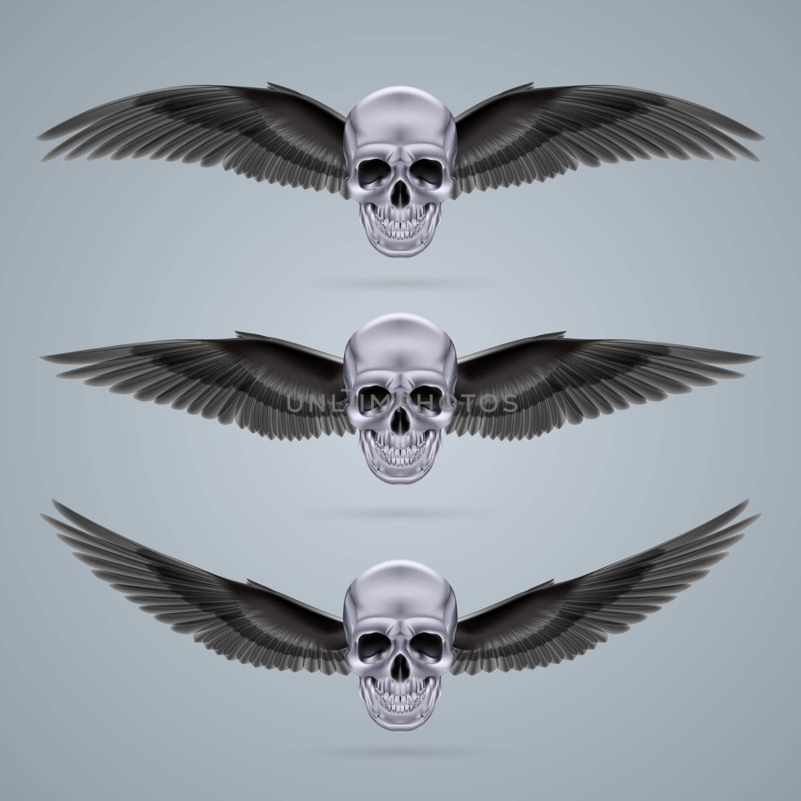 Three metal chrome skulls with two crow wings each.