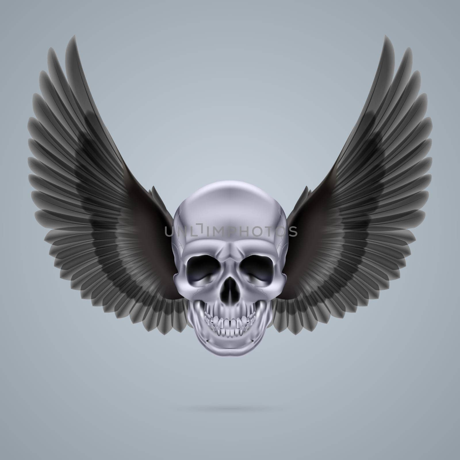 Metal chrome skull with two black crow wings.