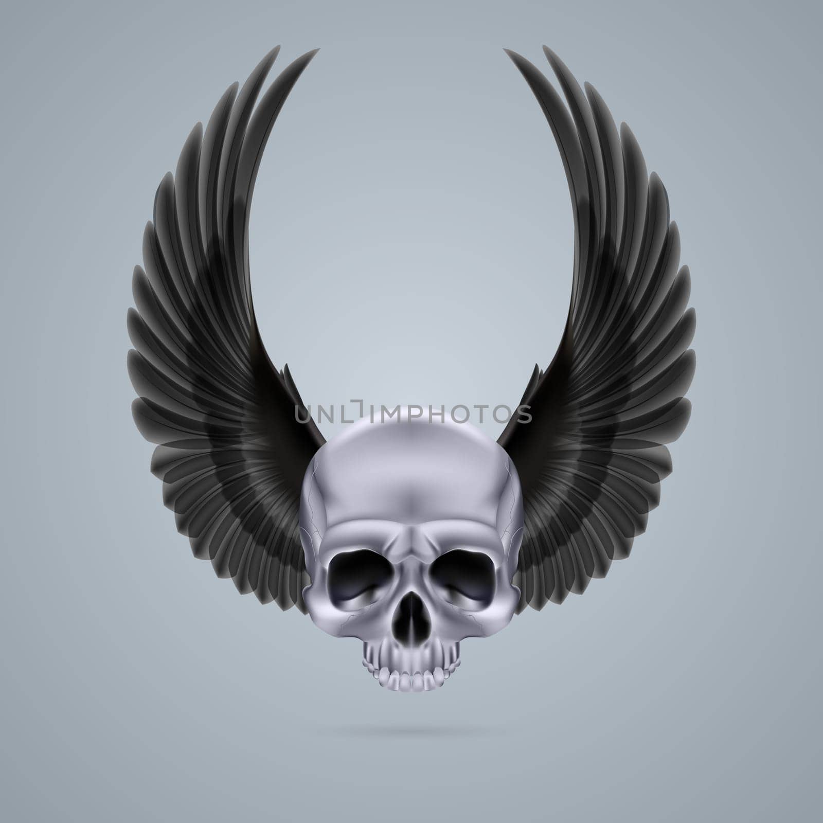 Metal chrome skull with two raised crow wings and no jaw bone.