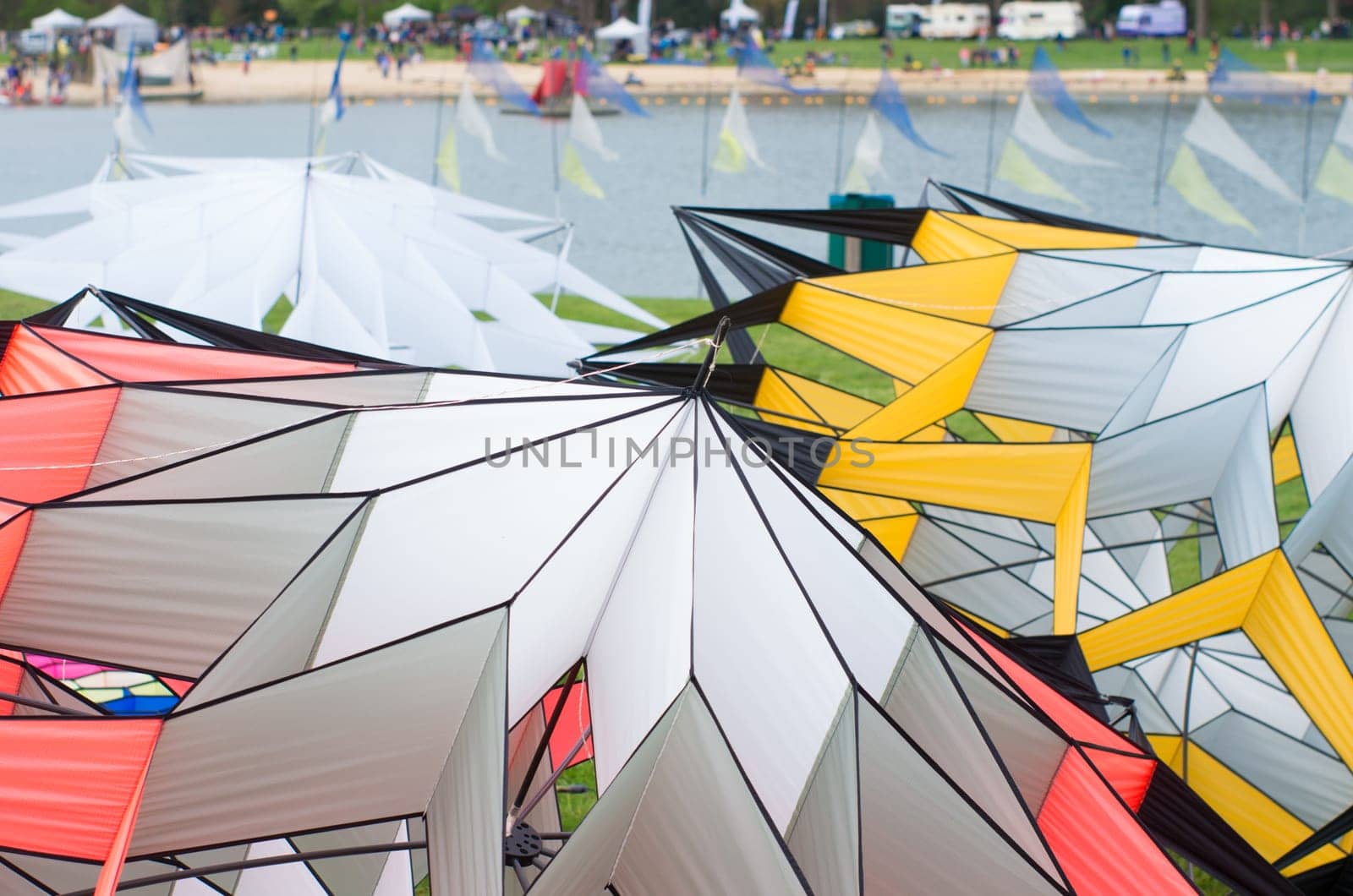 some kites on a grass field during a kite demonstration