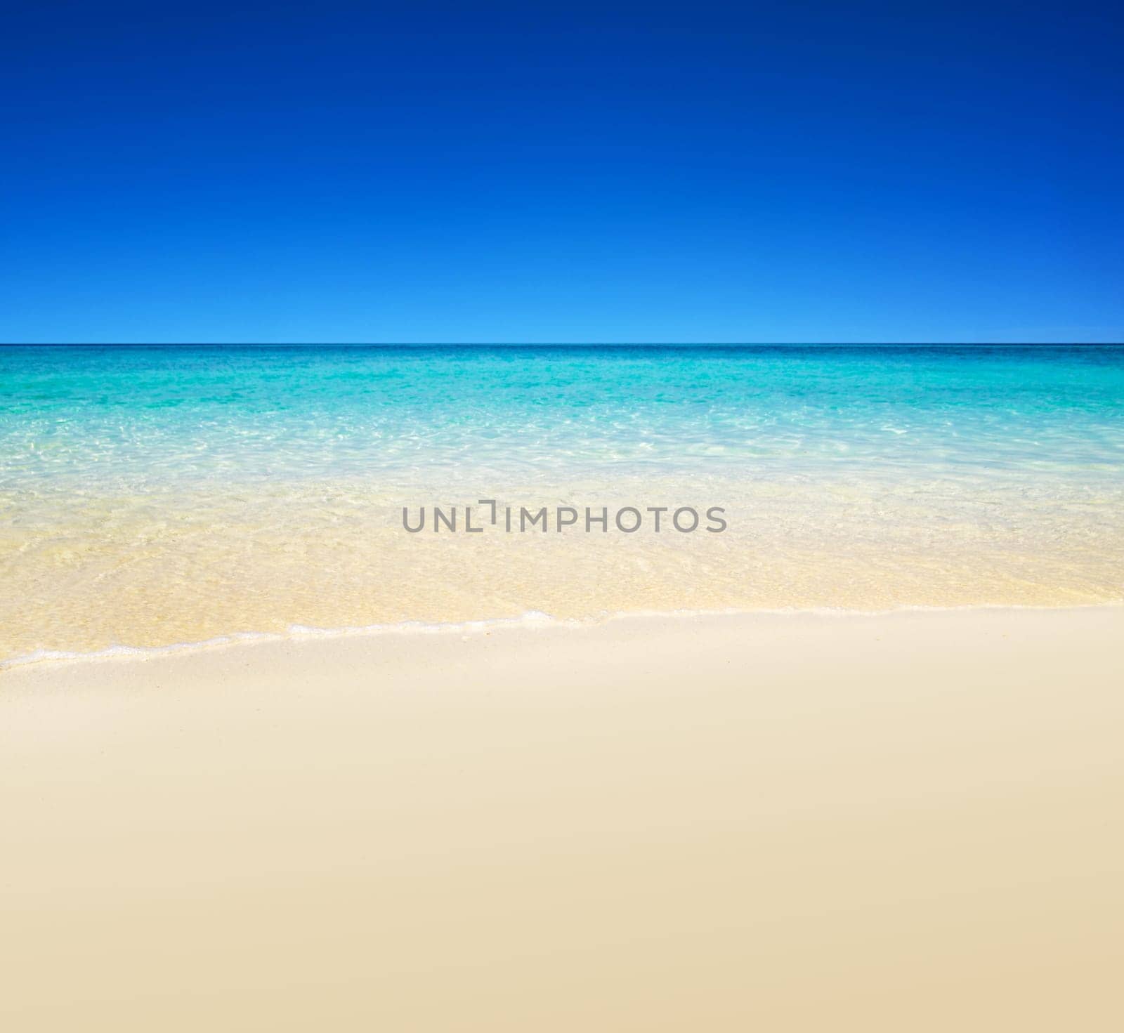beautiful beach and tropical sea..