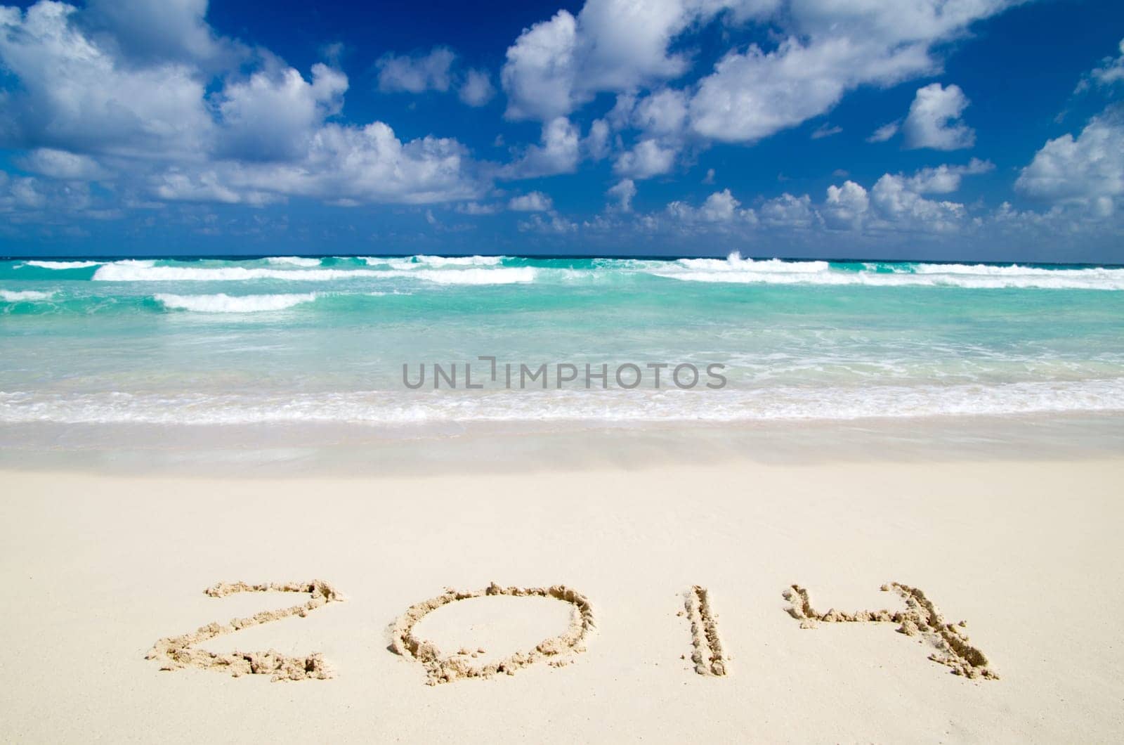 beach the ocean