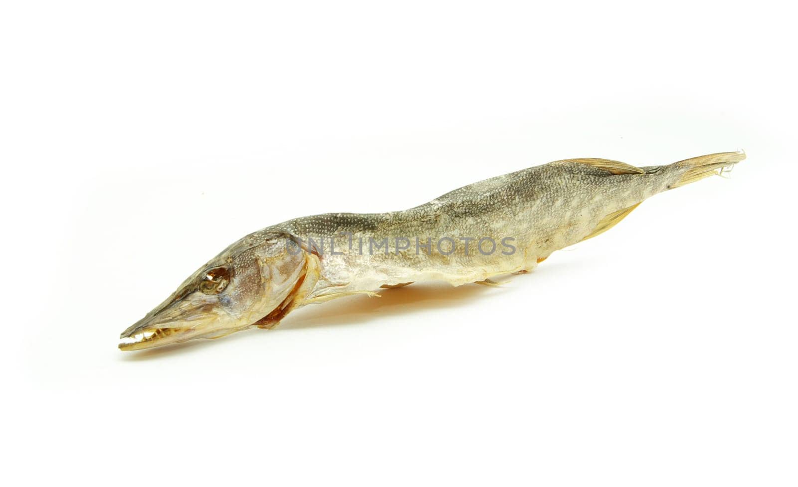 Three sea roach fishes isolated on the white background