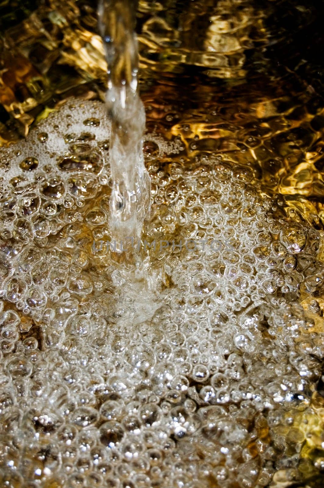 Stream of spring water in forest