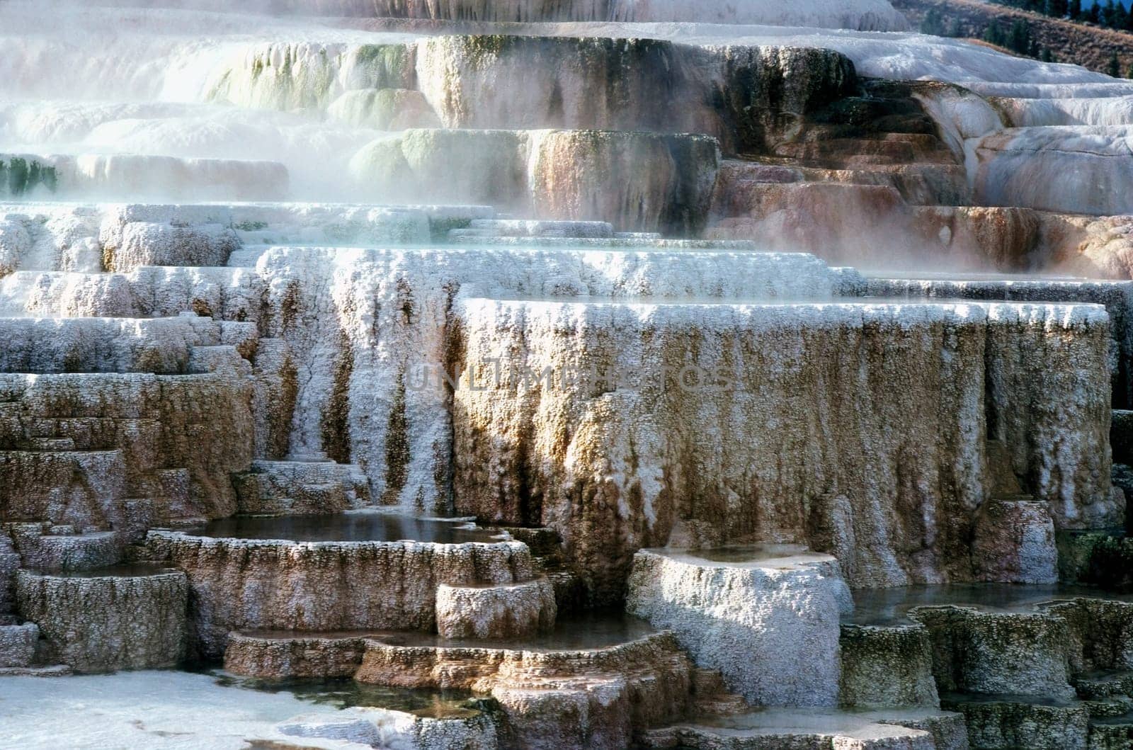 Minerva Terrace in Yellowstone National Park, Wyoming