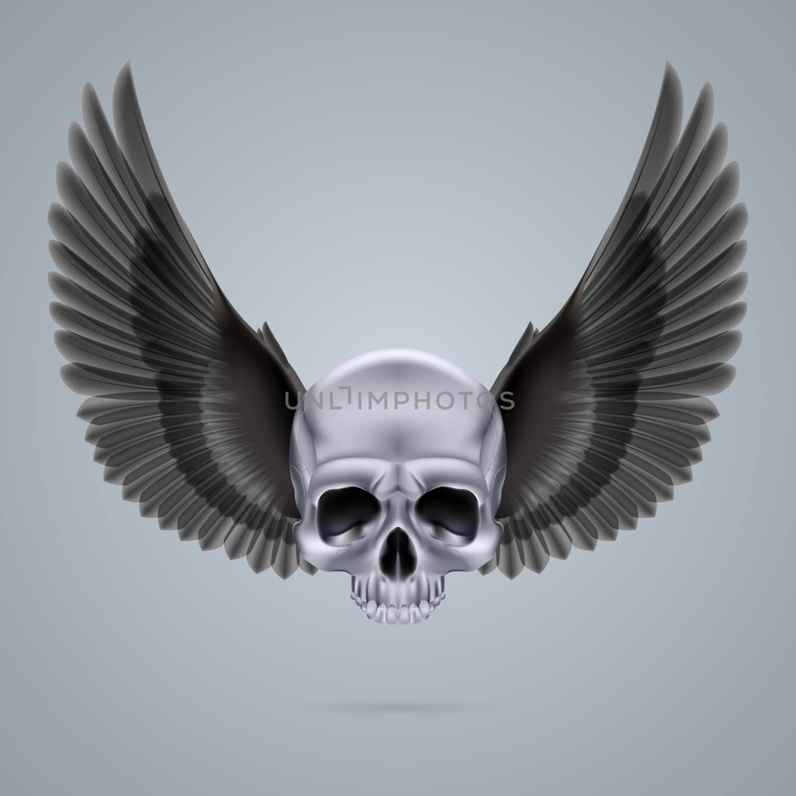 Metal chrome skull with two black crow wings and no jaw bone.