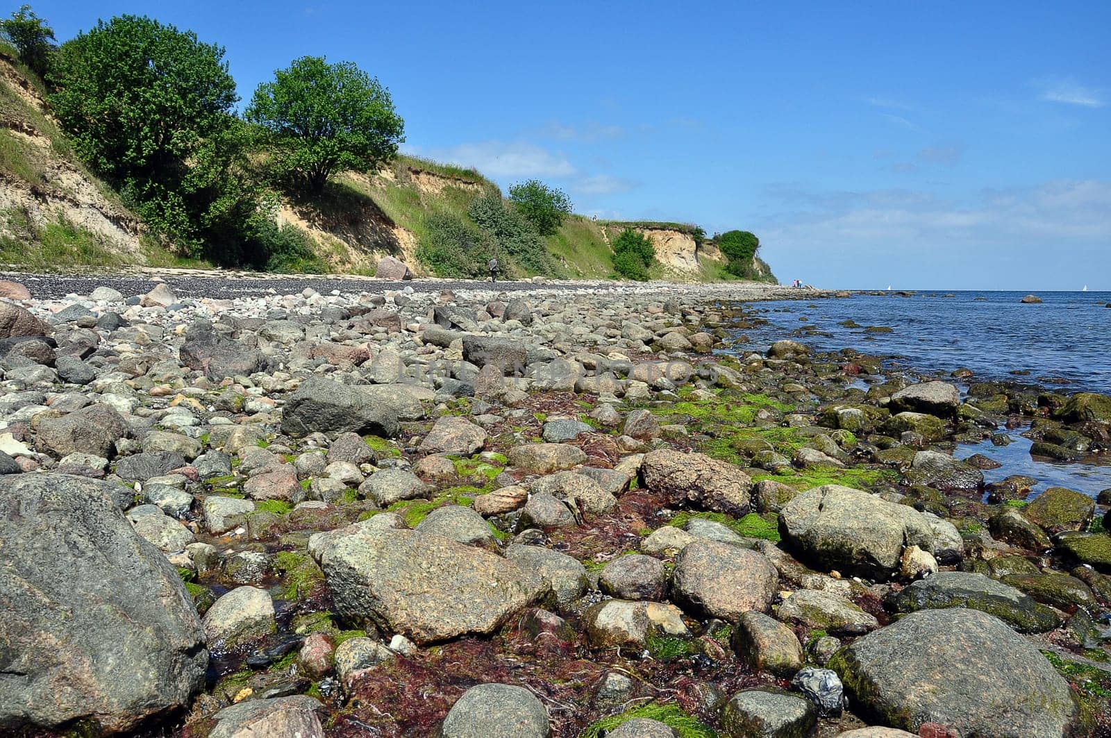 CliffBoltenhagen