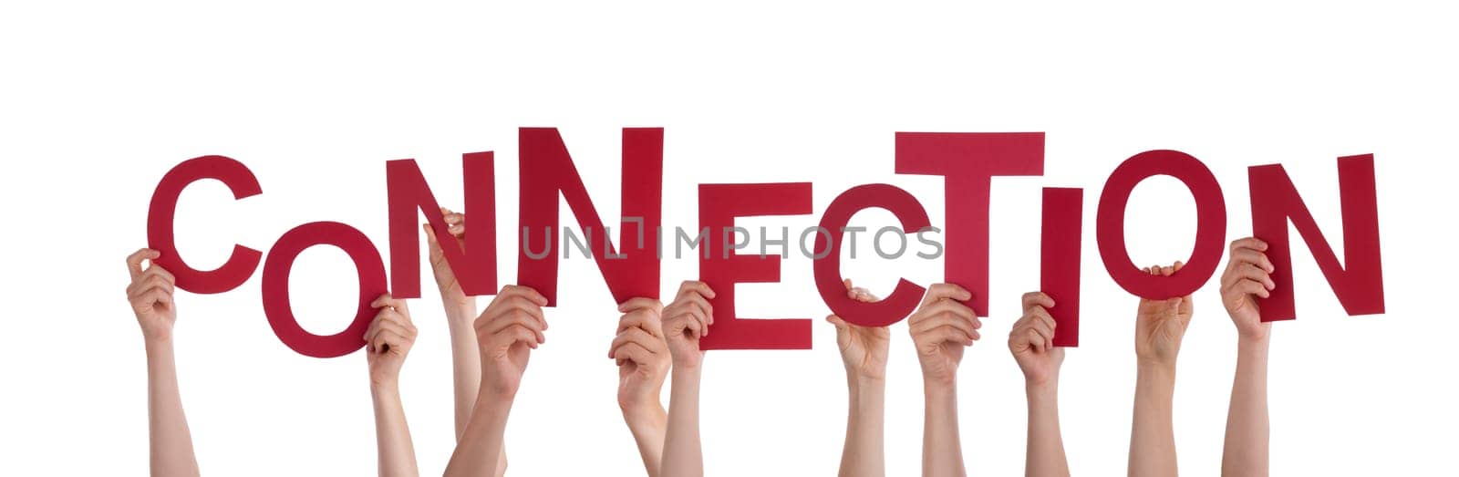 Many Hands Holding the Red Word Connection, Isolated