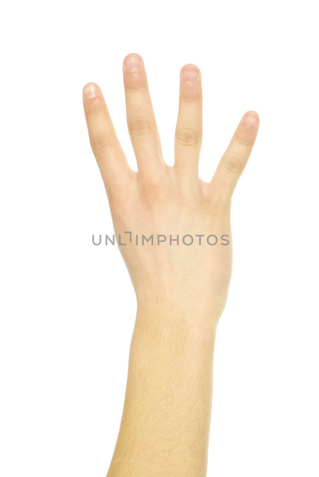 hand gestures isolated on a white