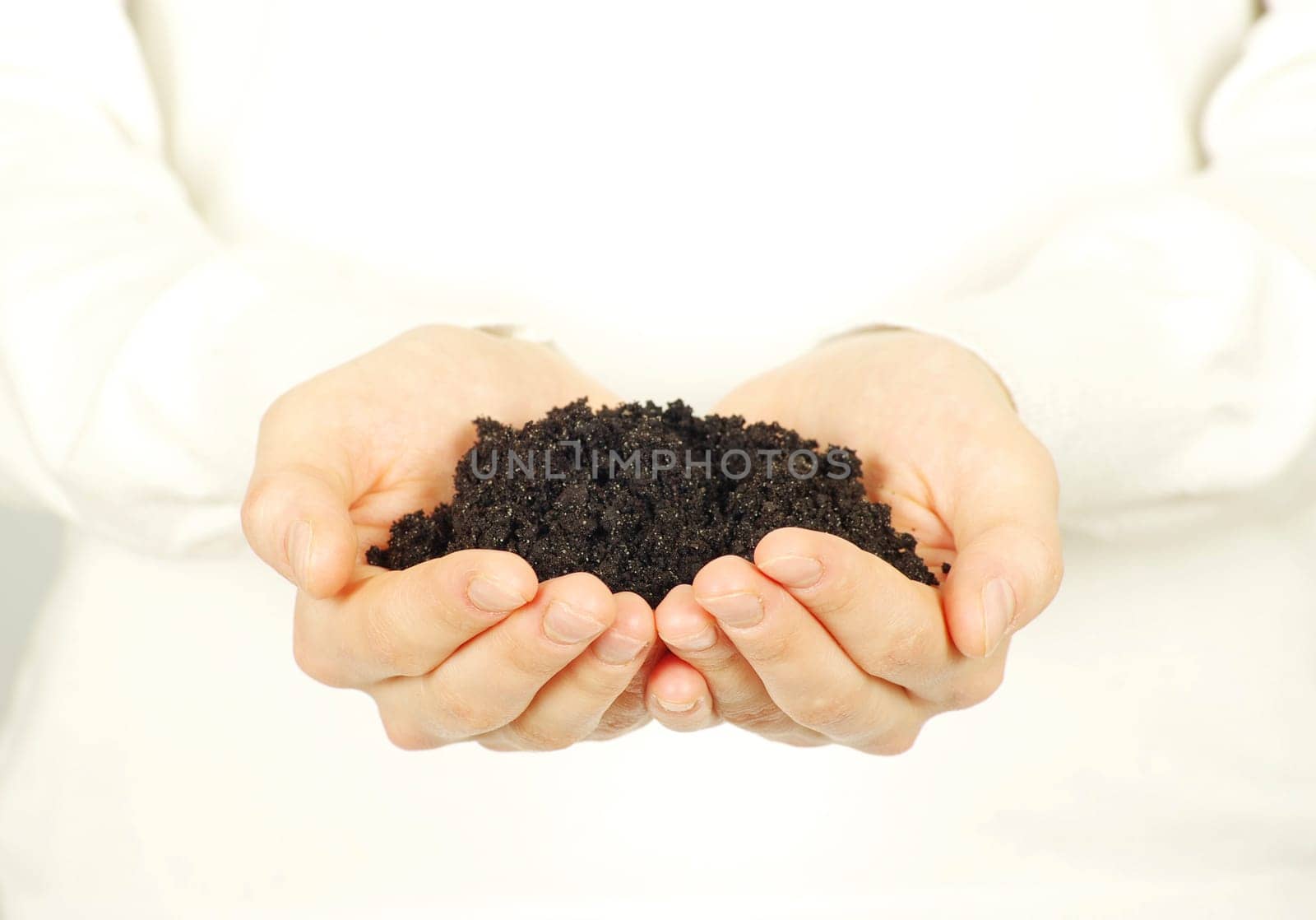 earth in hands isolated on a white background