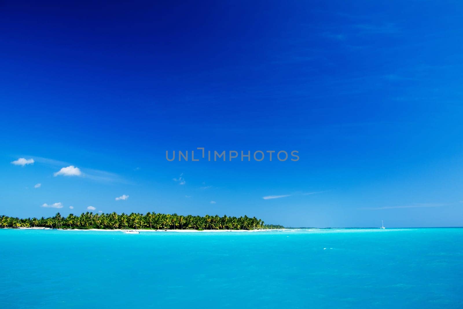 tropical sea under the blue sky