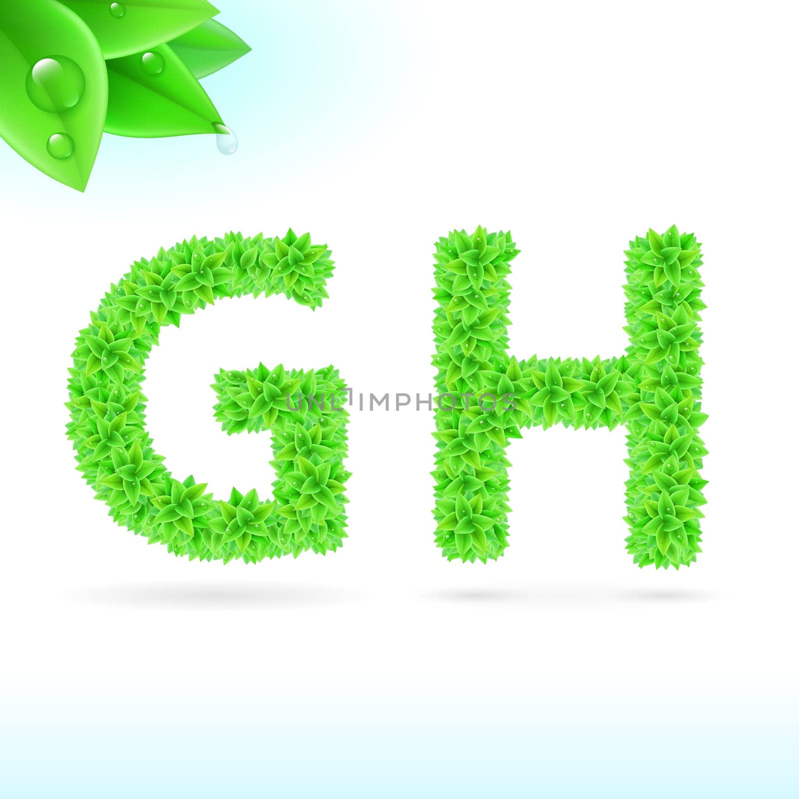 Sans serif font with green leaf decoration on white background. G and H letters