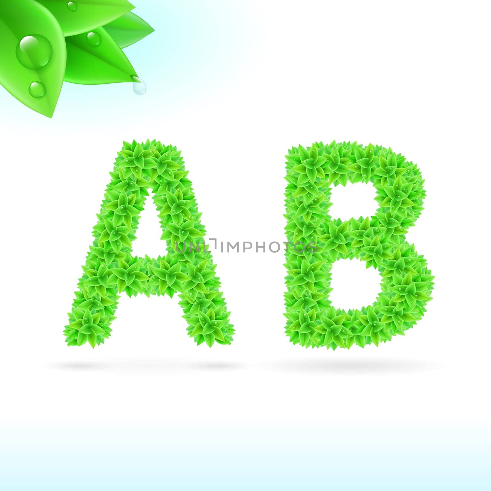 Sans serif font with green leaf decoration on white background. A and B letters