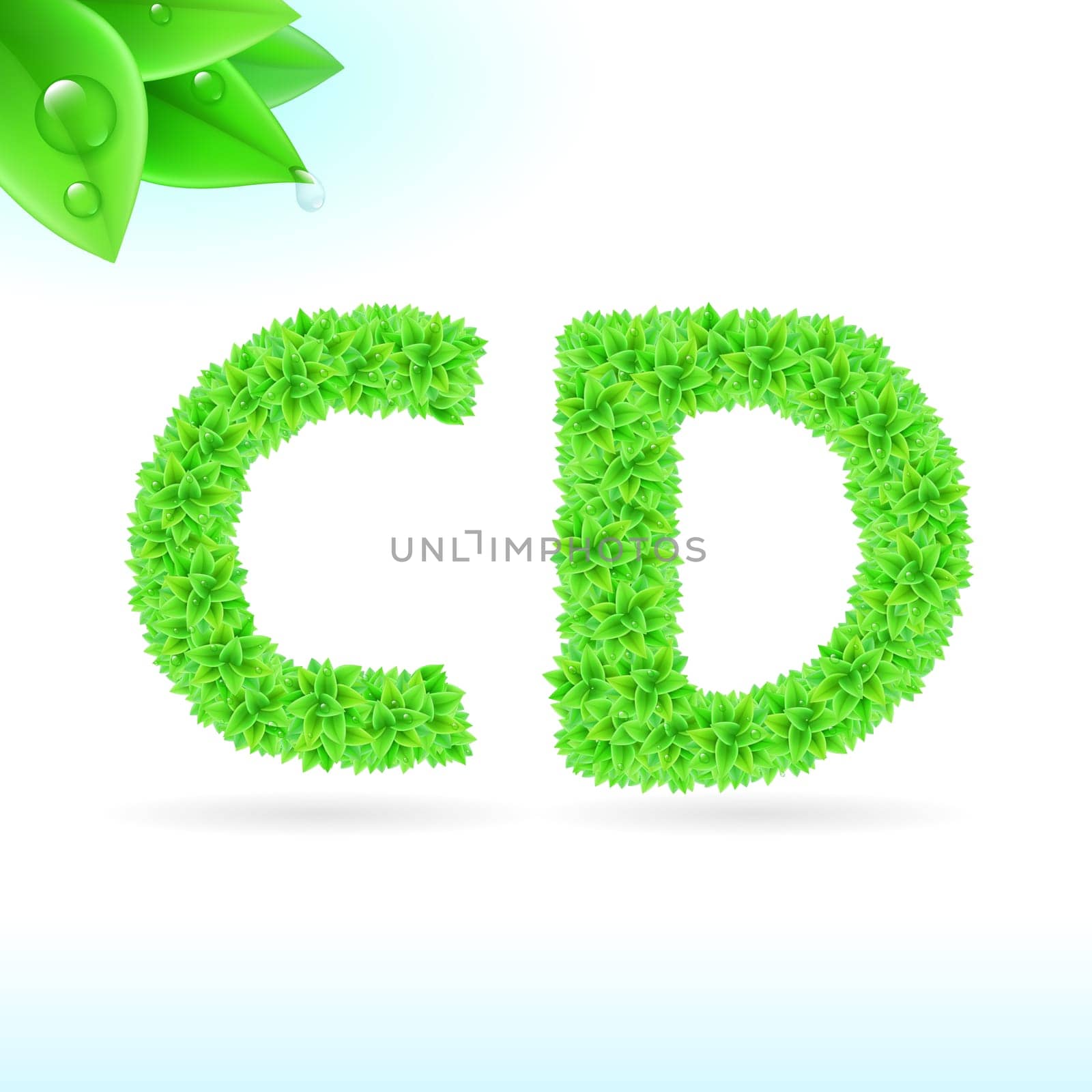Sans serif font with green leaf decoration on white background. C and D letters