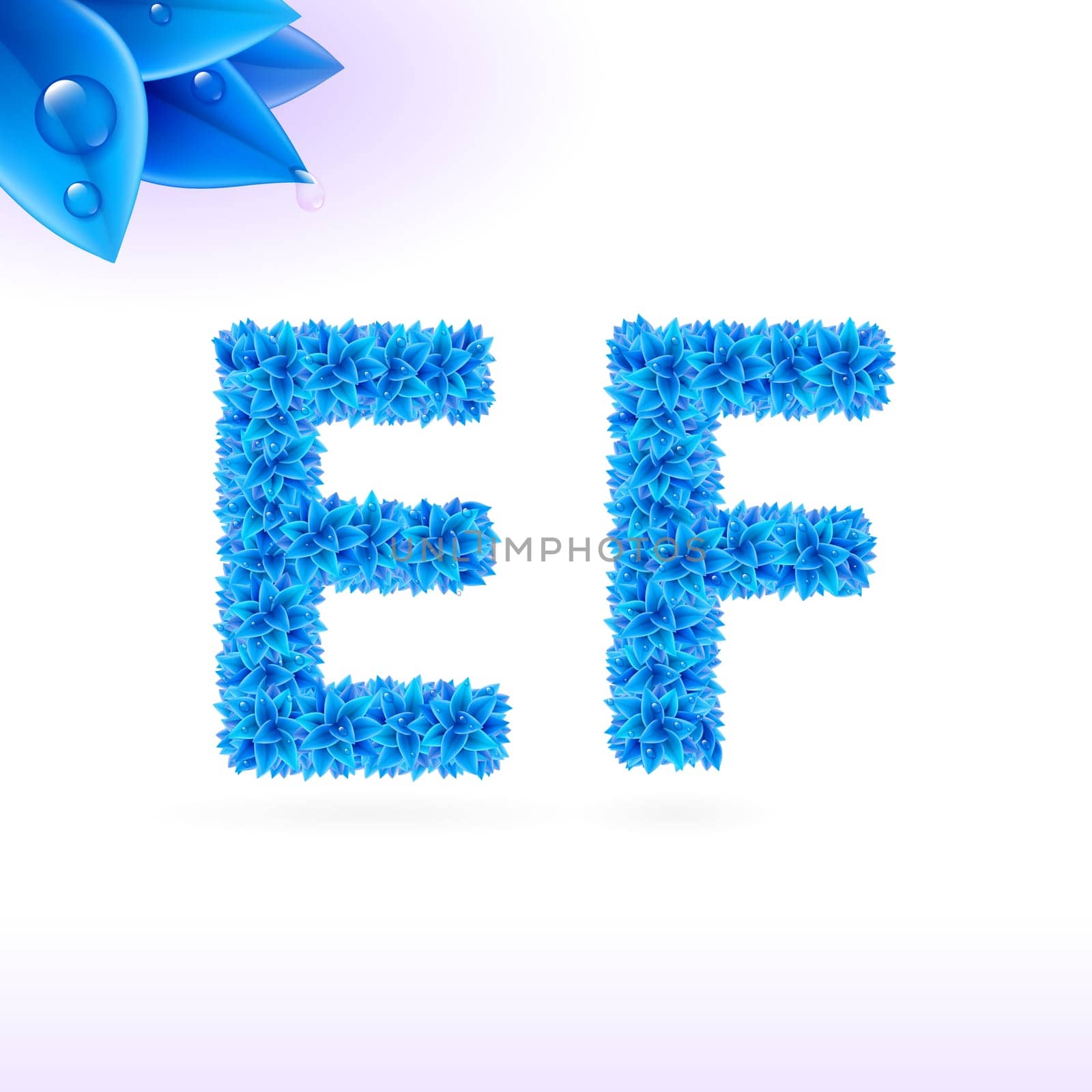 Sans serif font with blue leaf decoration on white background. E and F letters