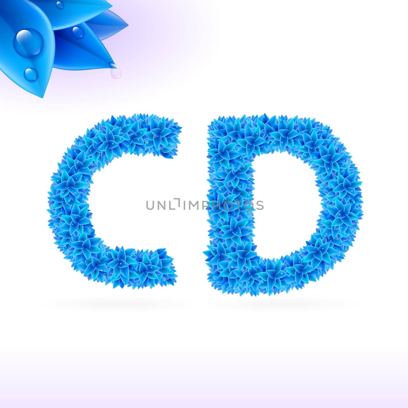 Sans serif font with blue leaf decoration on white background. C and D letters