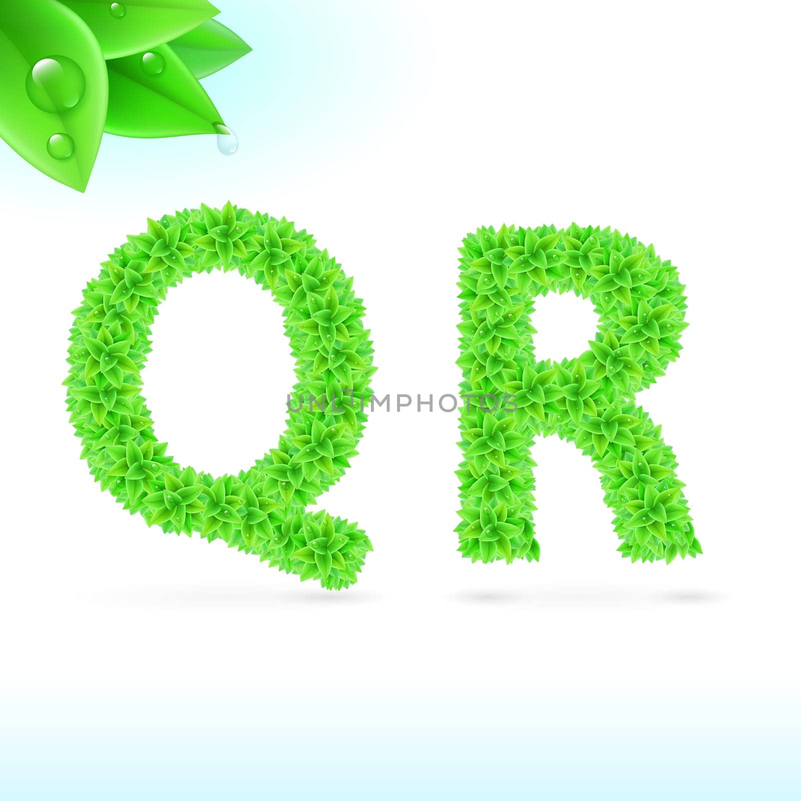 Sans serif font with green leaf decoration on white background. Q and R letters
