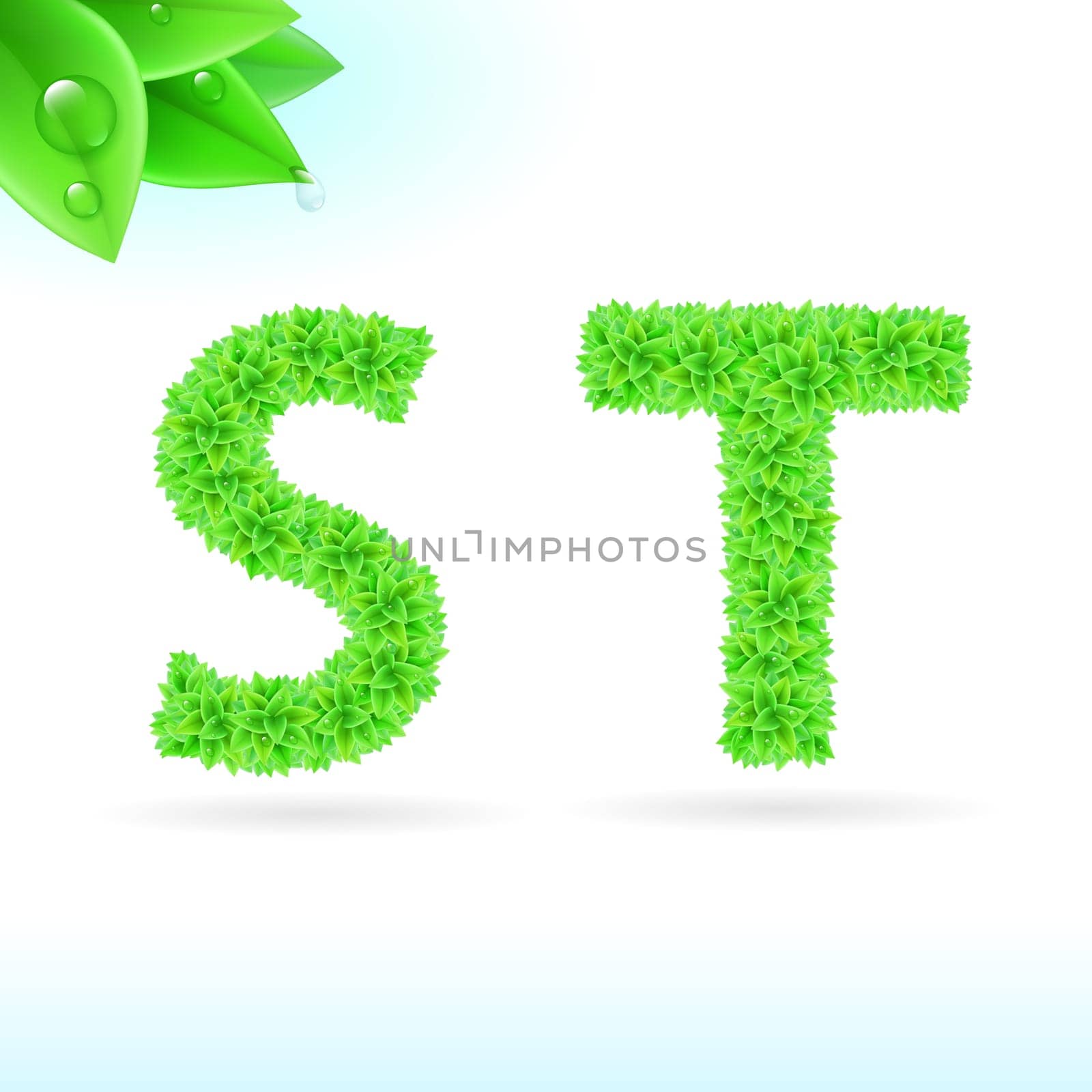 Sans serif font with green leaf decoration on white background. S and T letters