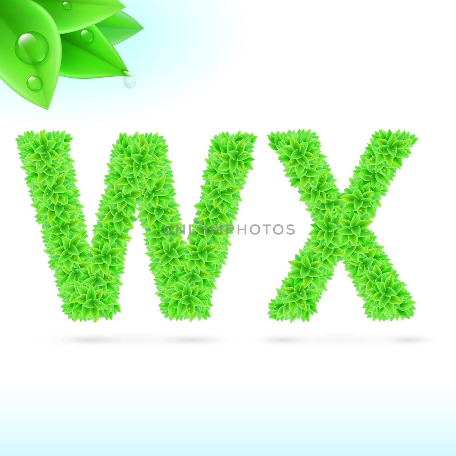 Sans serif font with green leaf decoration on white background. W and X letters