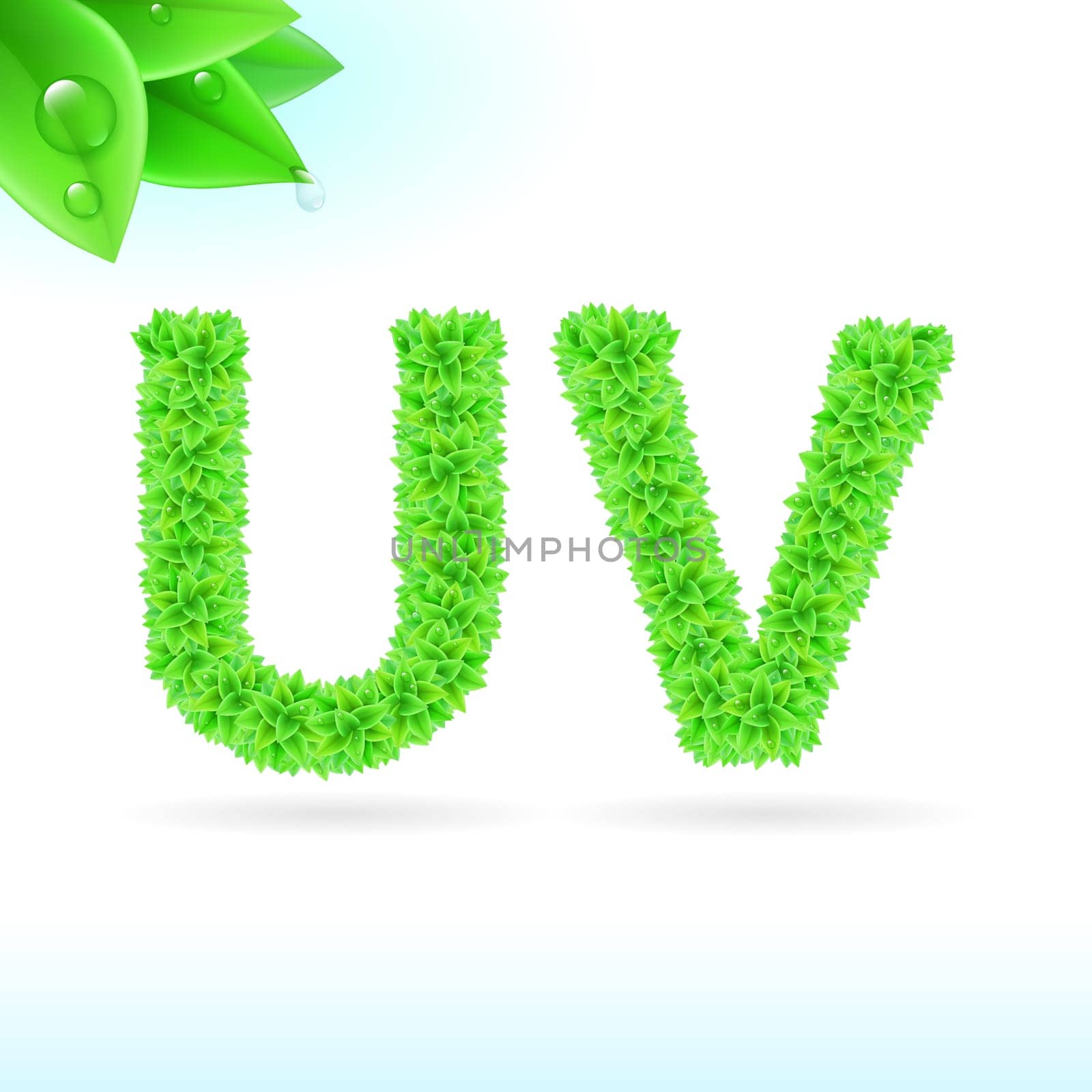 Sans serif font with green leaf decoration on white background. U and V letters