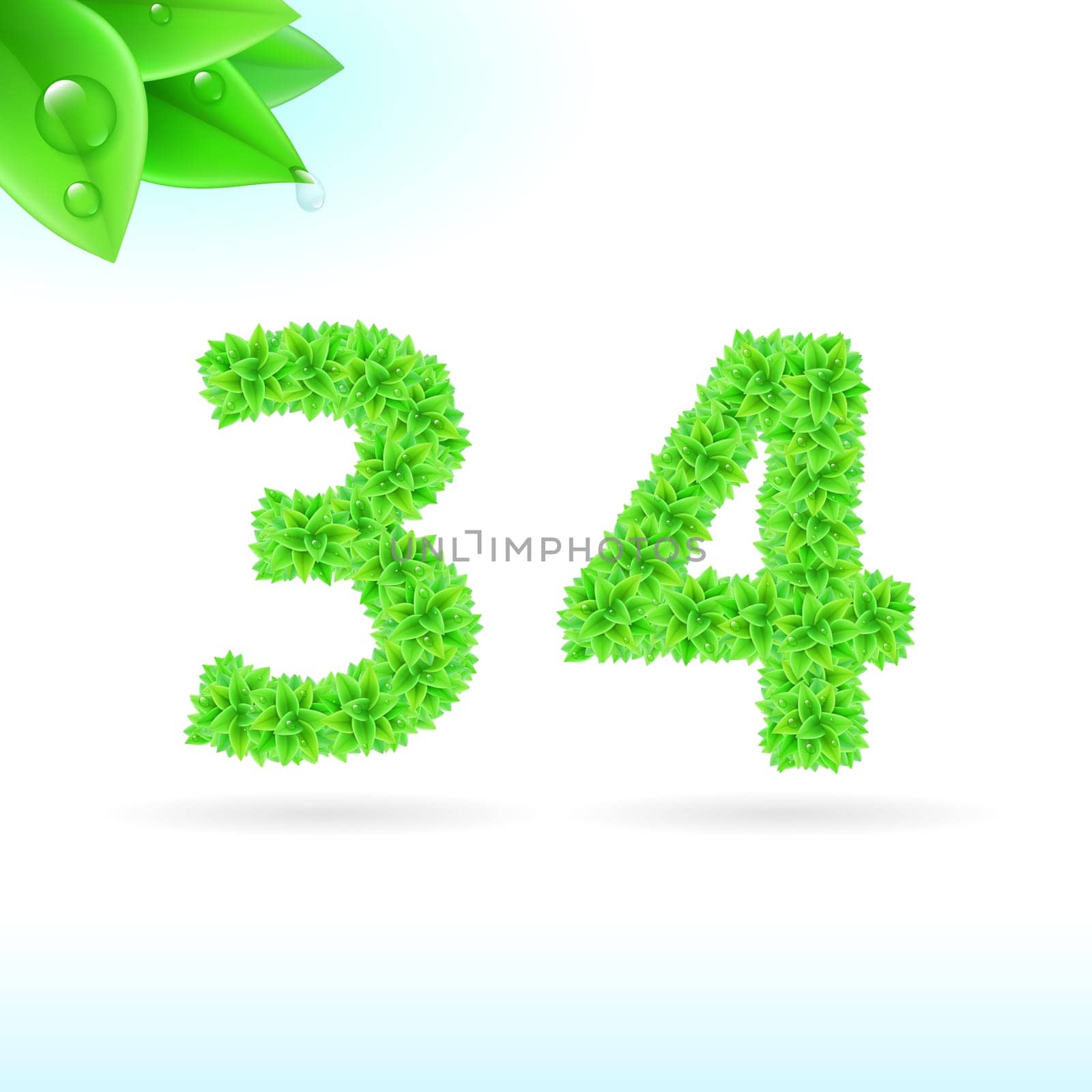 Sans serif font with green leaf decoration on white background. 3 and 4 numerals