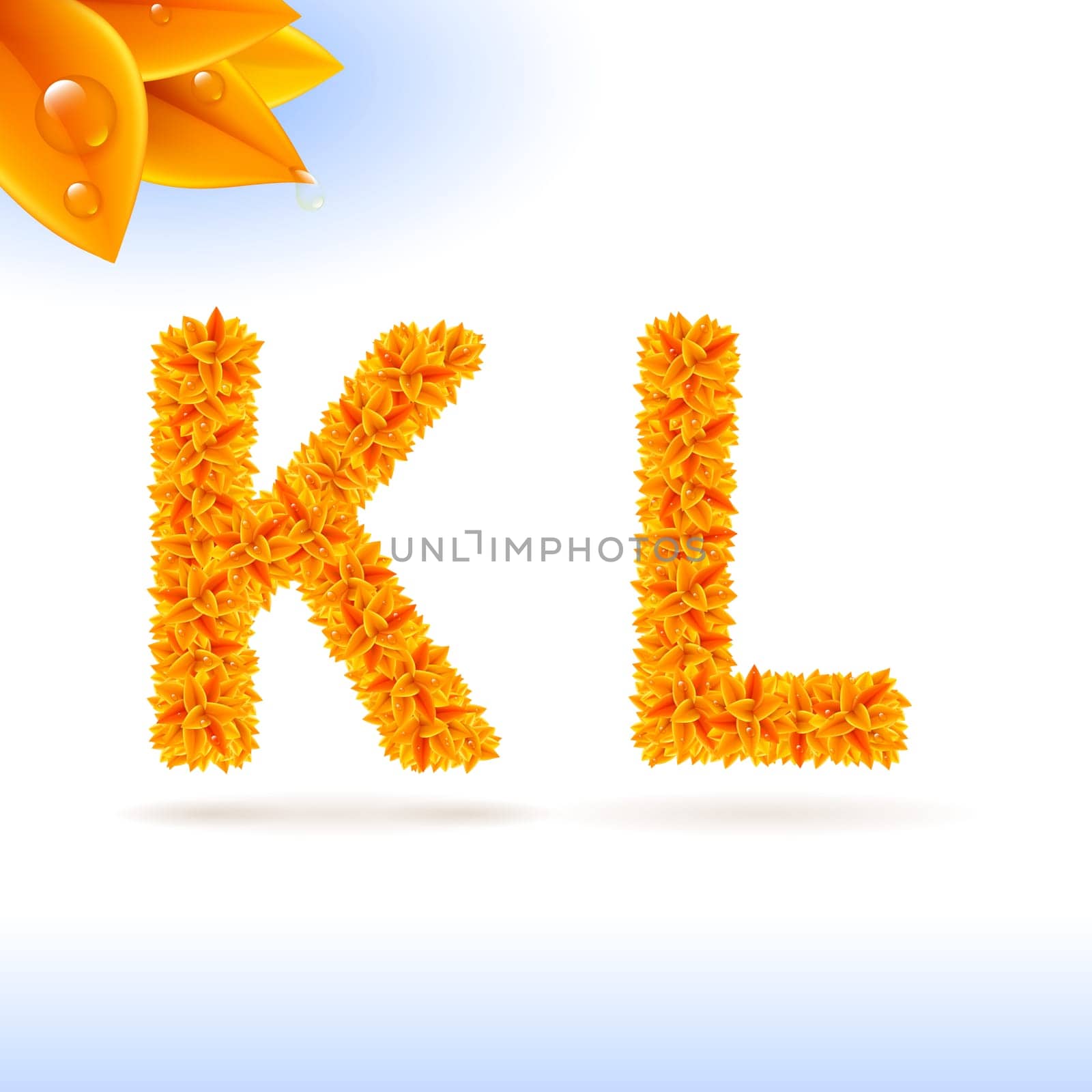Sans serif font with orange leaf decoration on white background. K and L letters