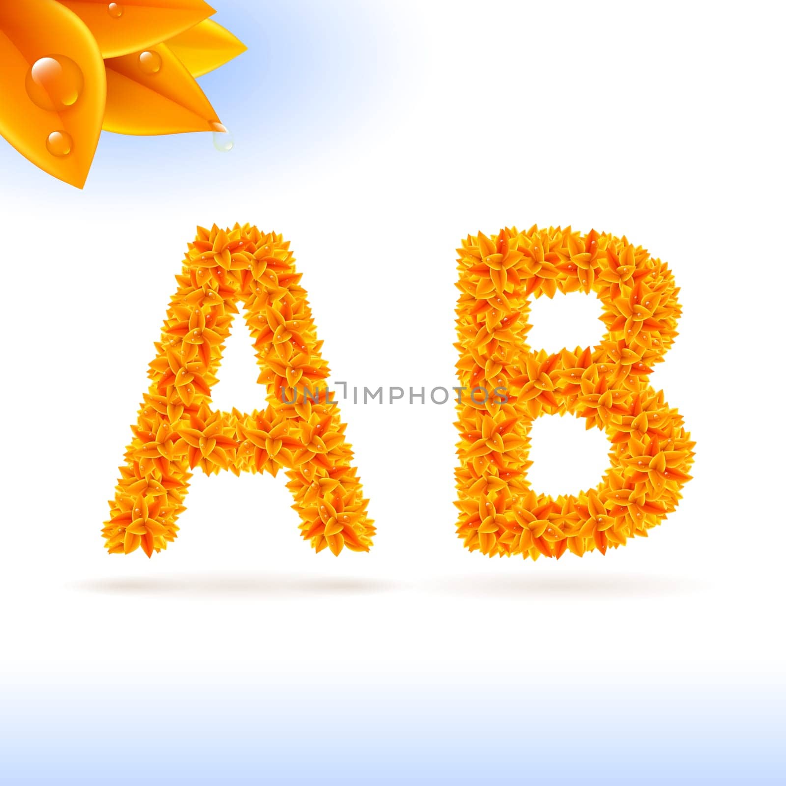 Sans serif font with orange leaf decoration on white background. A and B letters