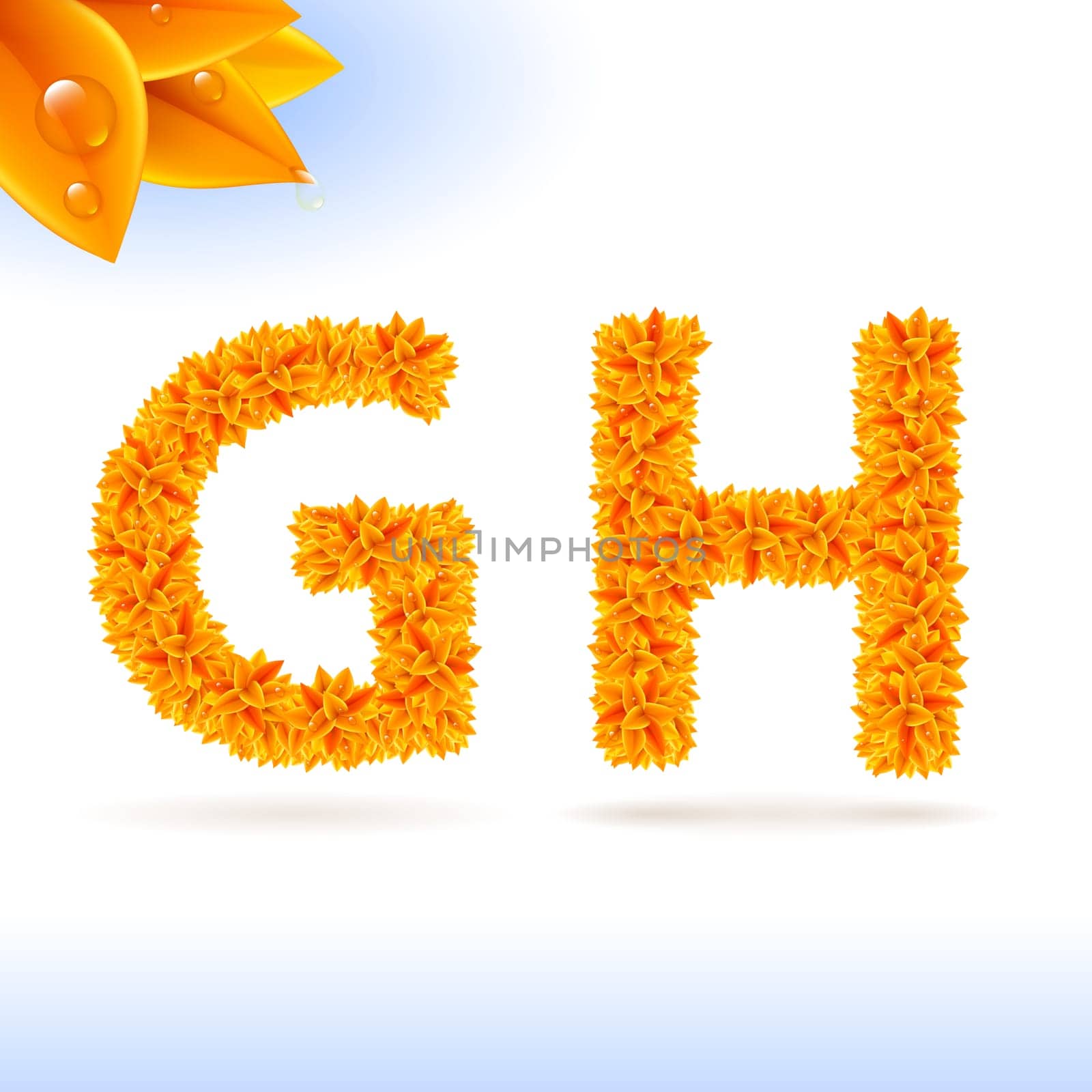 Sans serif font with orange leaf decoration on white background. G and H letters