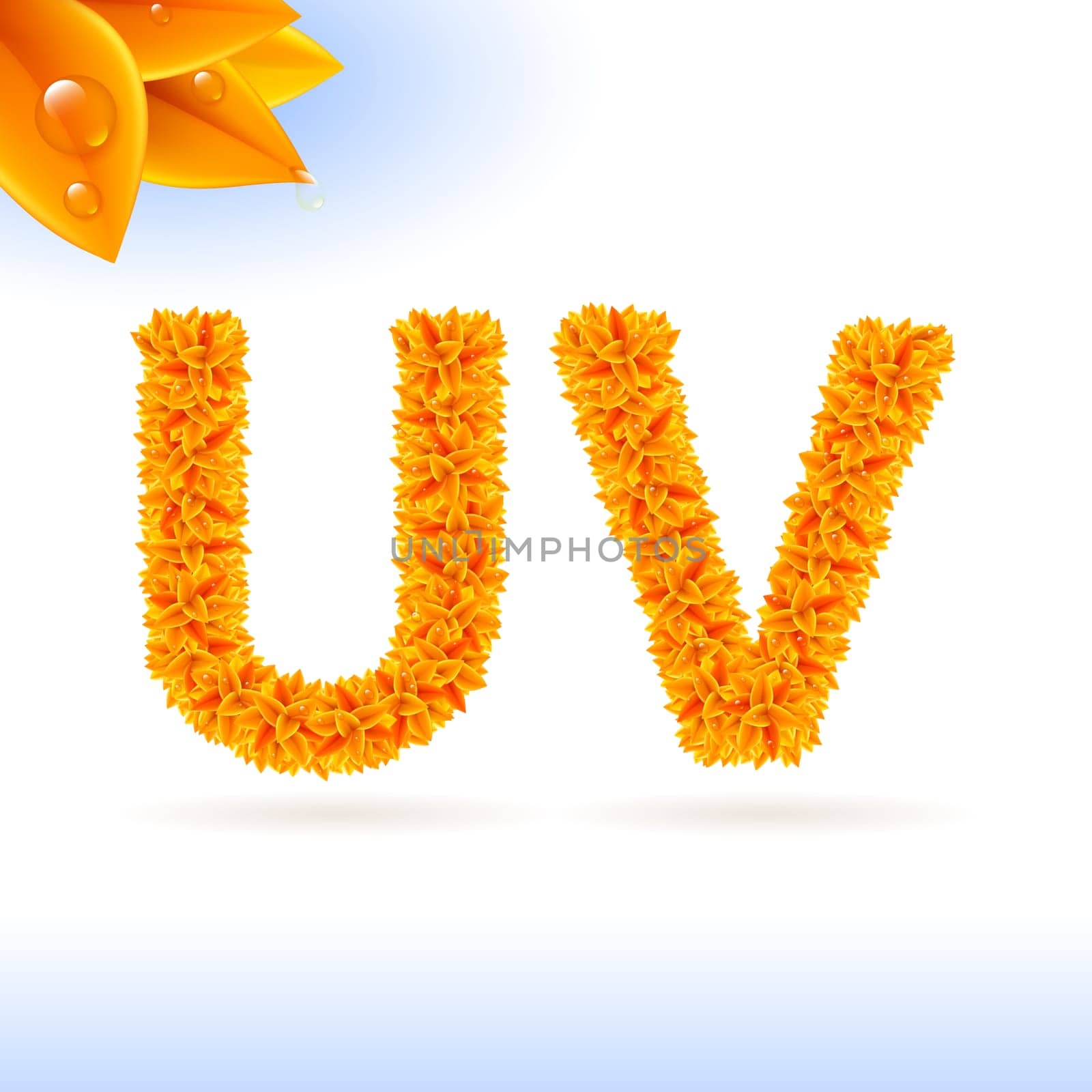 Sans serif font with orange leaf decoration on white background. U and V letters