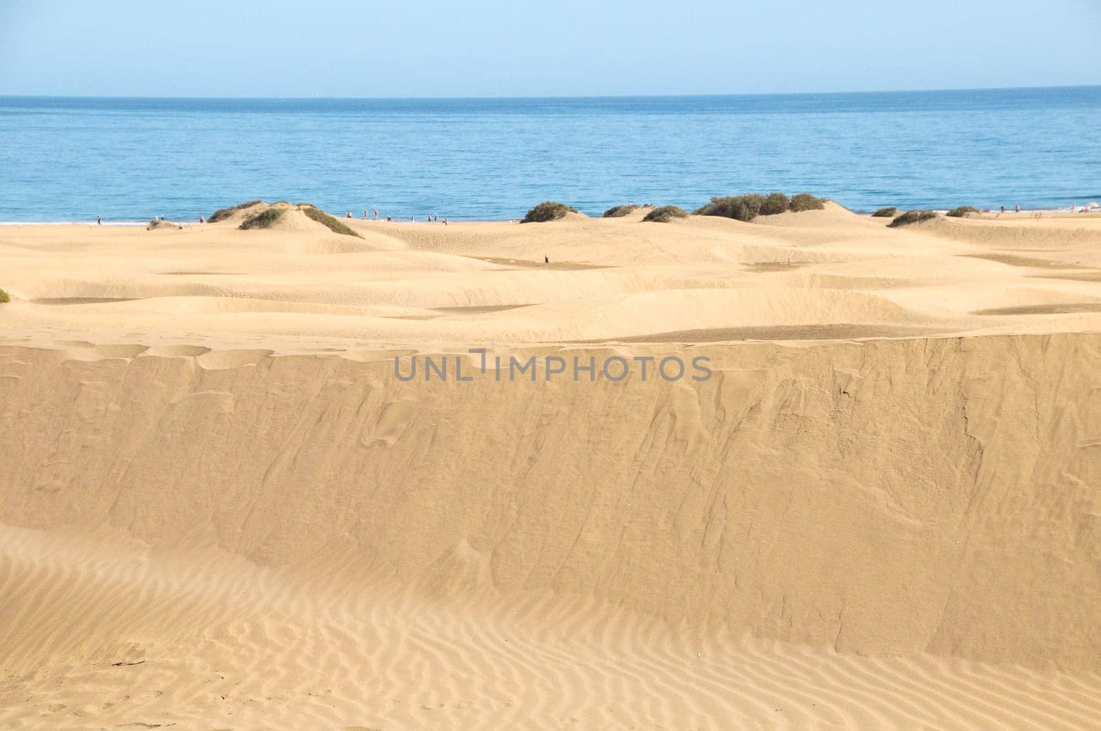 African European Sand Dune Desert Landscape in Gran Canaria Island Spain